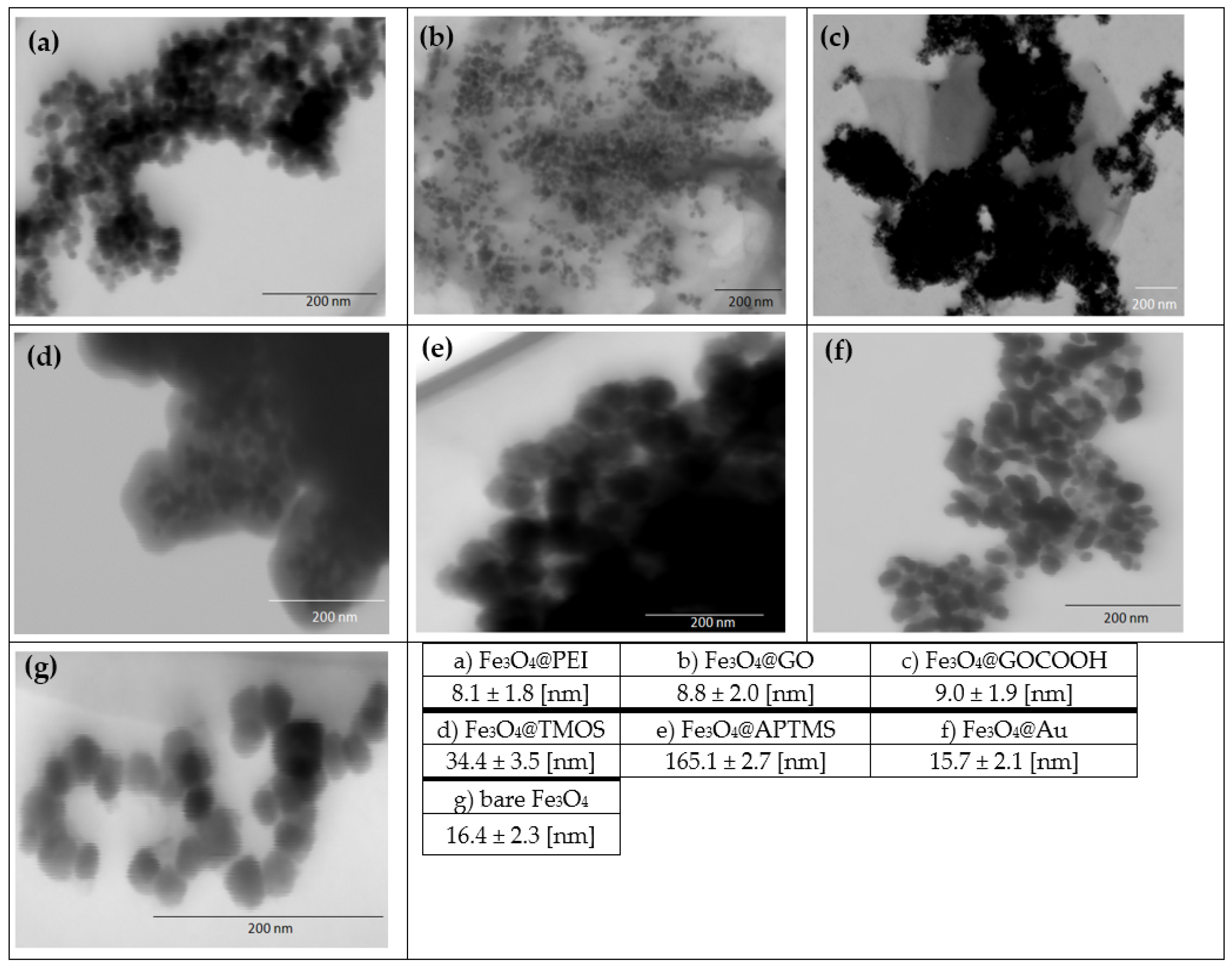 Ijms 23 08860 g004 550