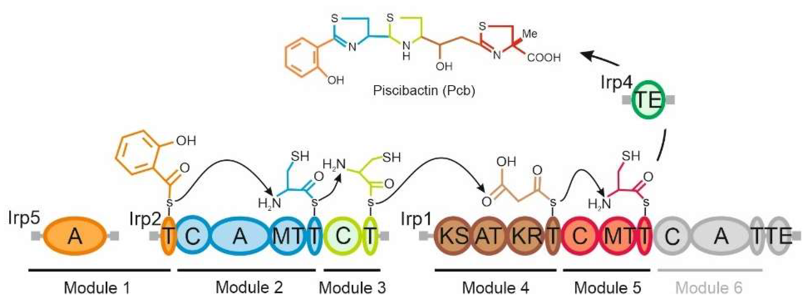 Ijms 23 08865 g007 550