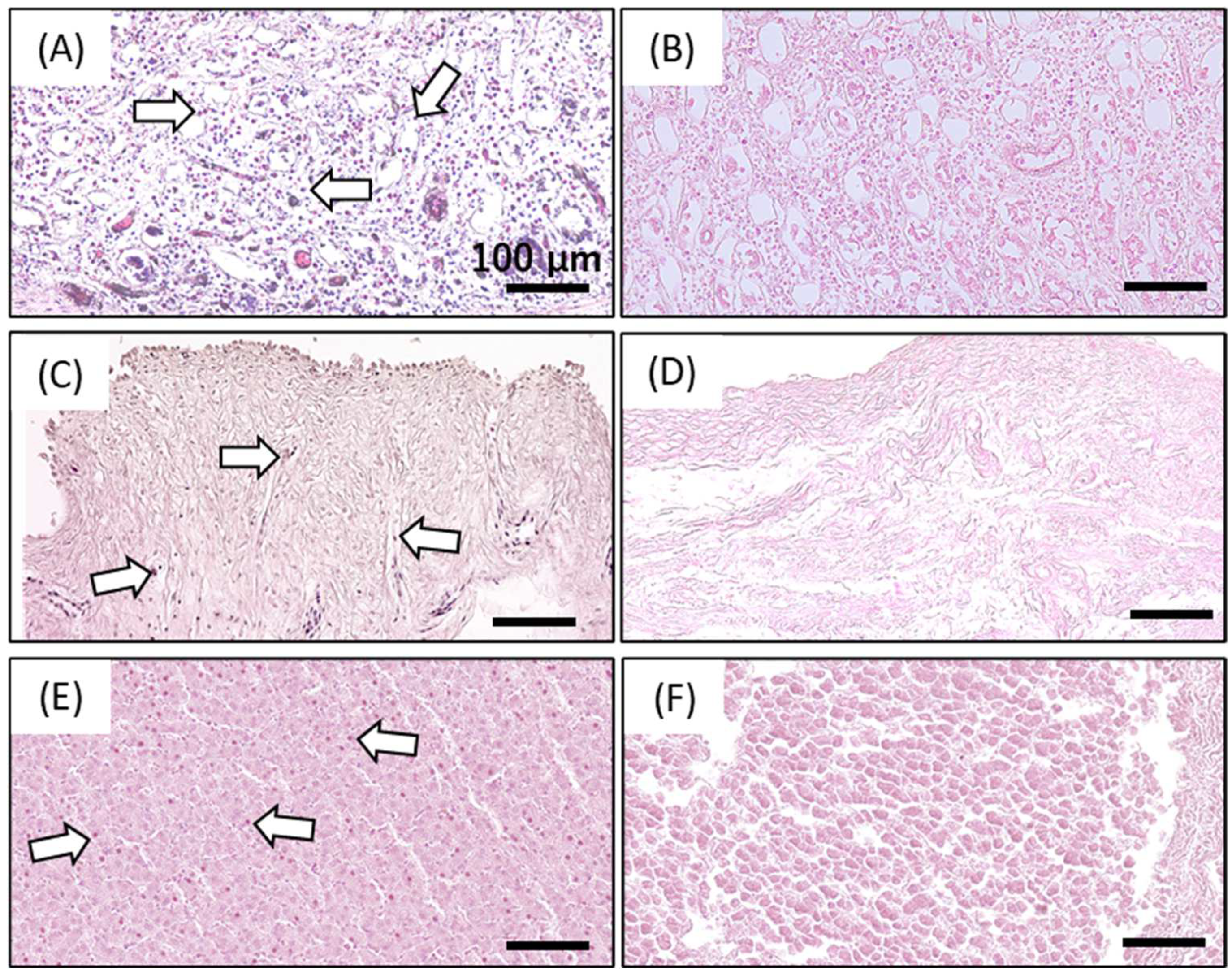 Ijms 23 08868 g001 550