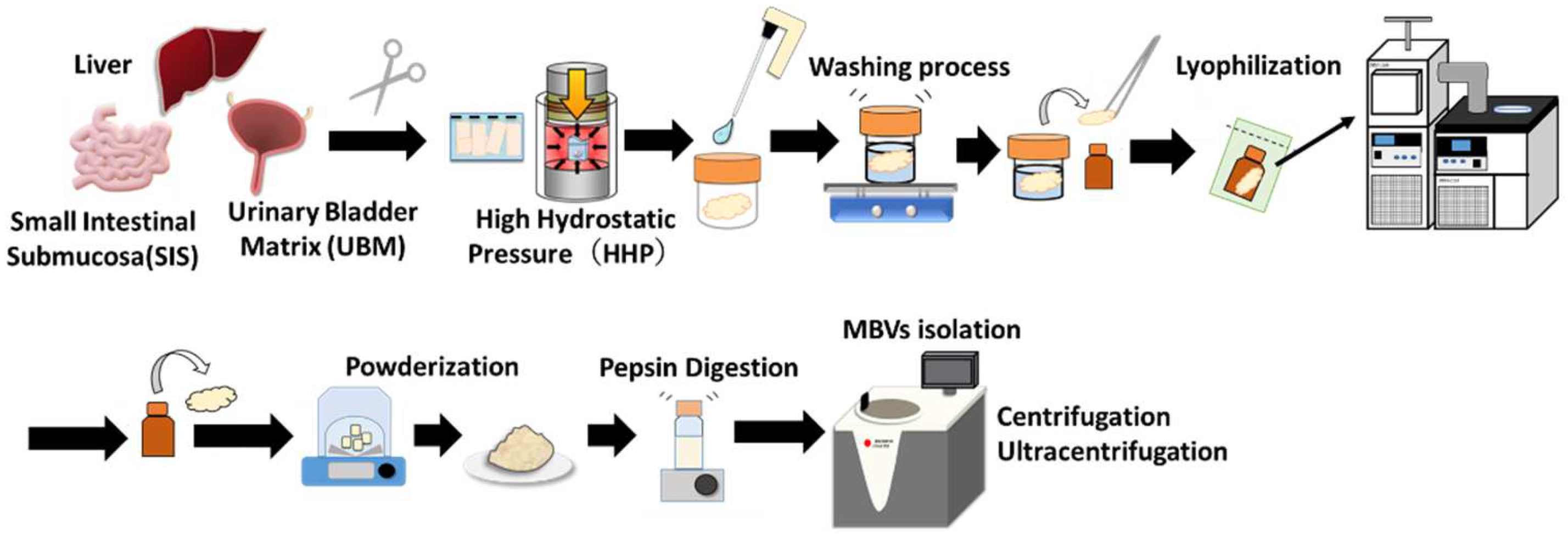 Ijms 23 08868 g009 550