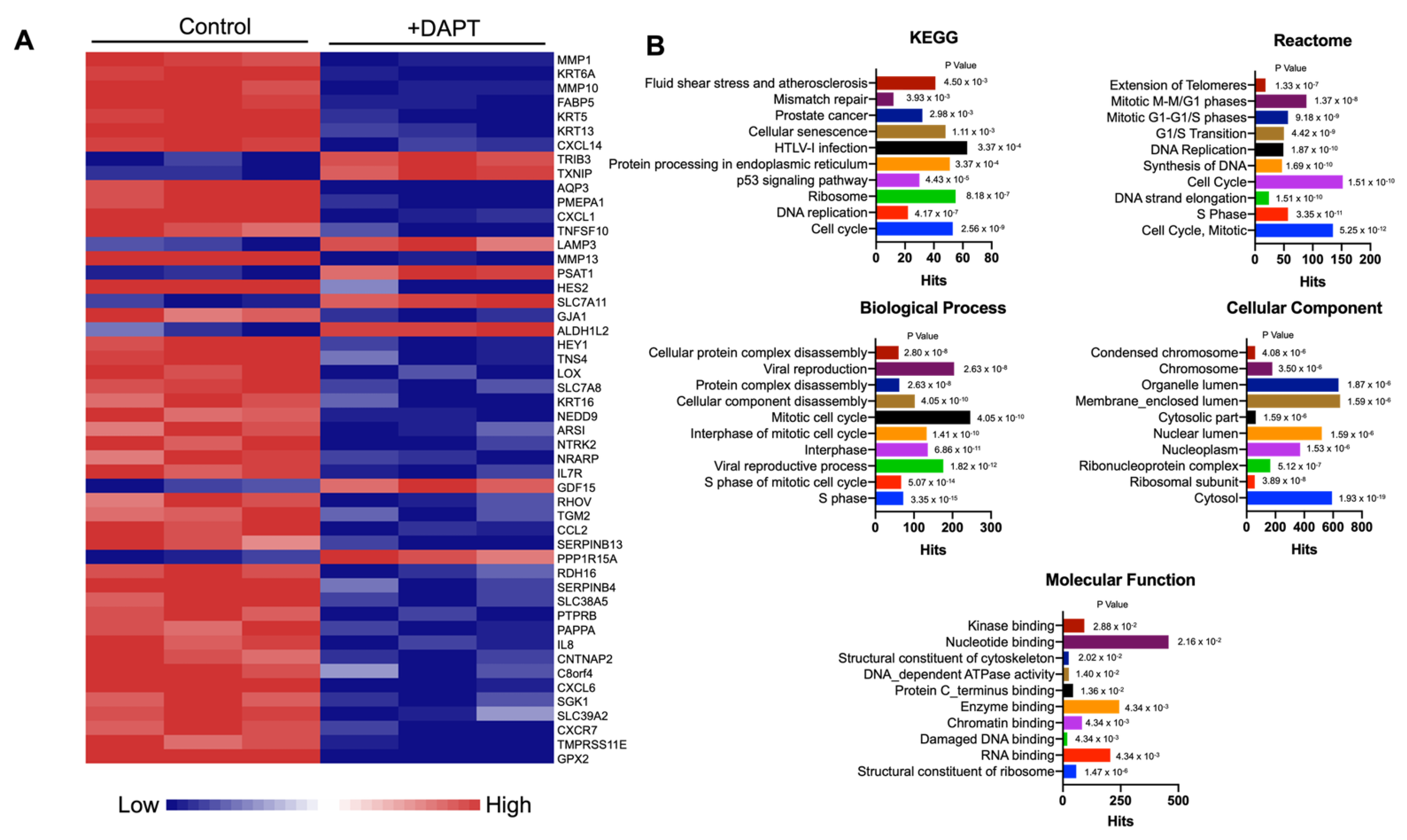 Ijms 23 08869 g002 Ijms 23 08869 g002