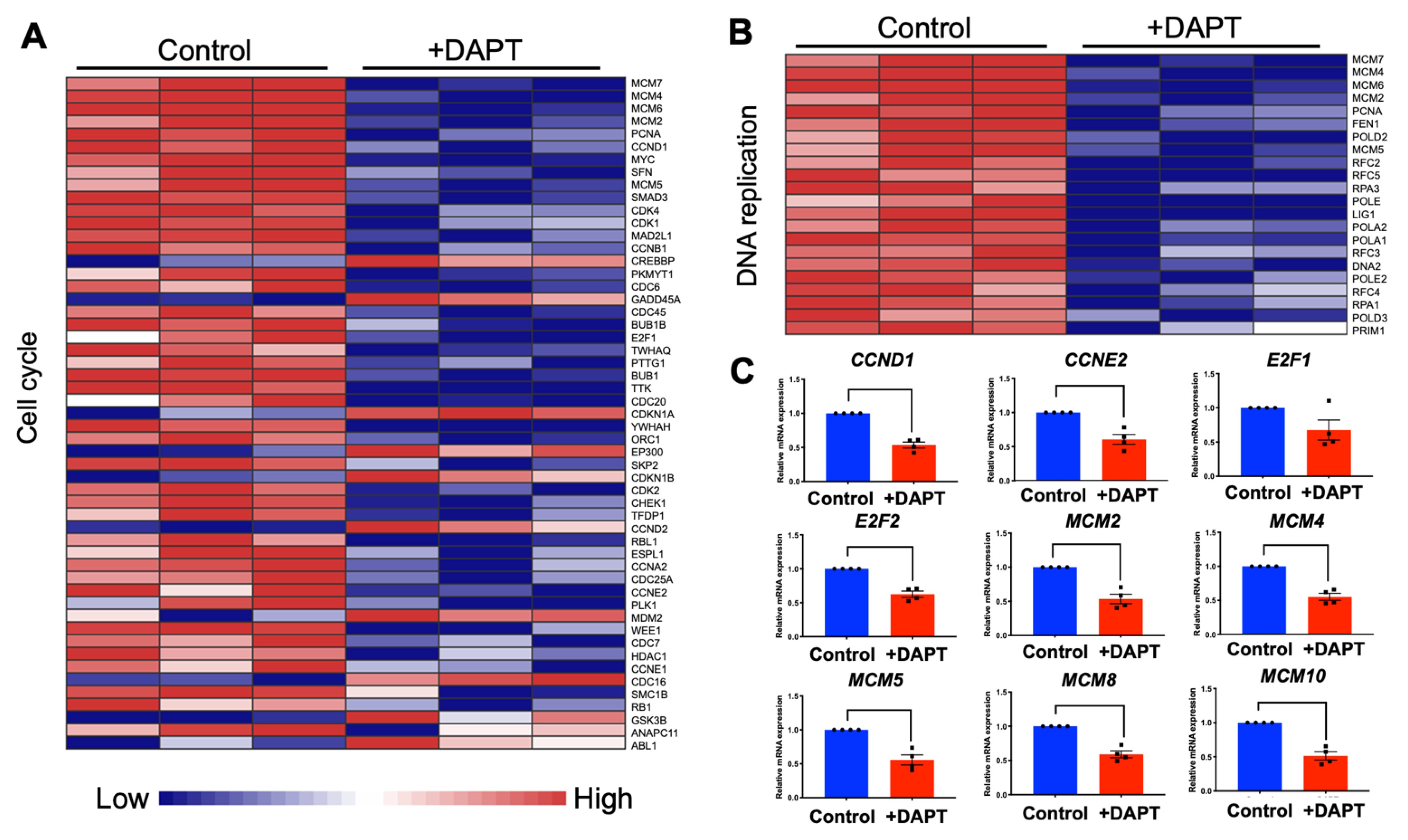Ijms 23 08869 g003 Ijms 23 08869 g003