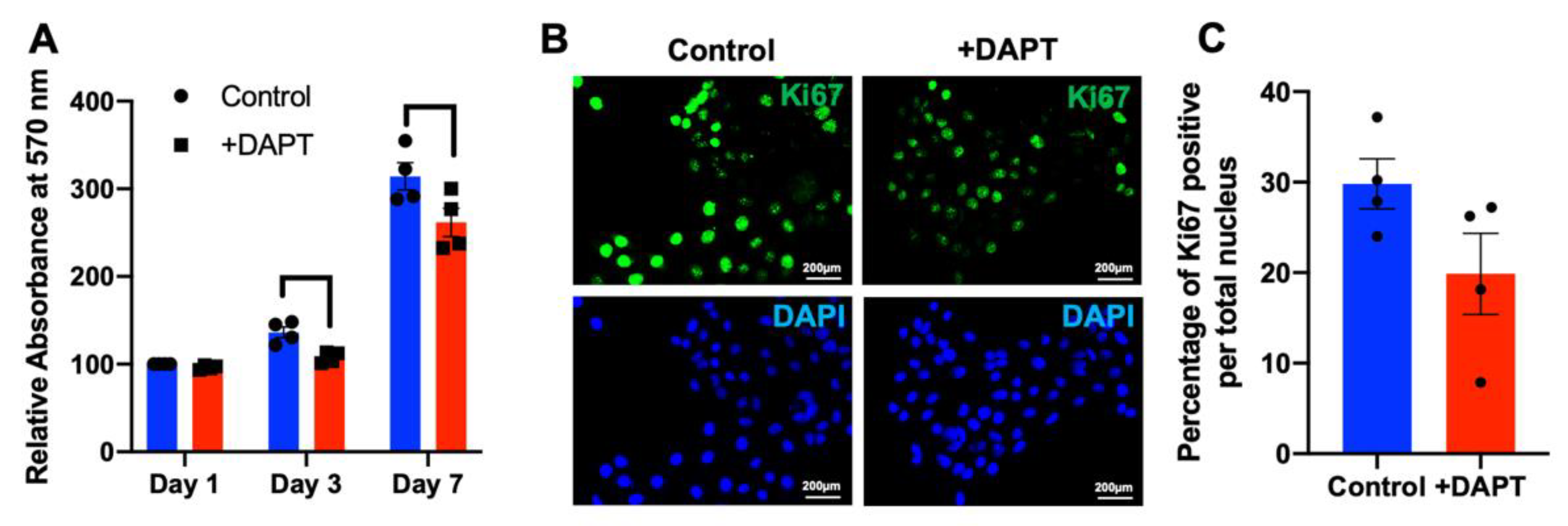 Ijms 23 08869 g004 Ijms 23 08869 g004