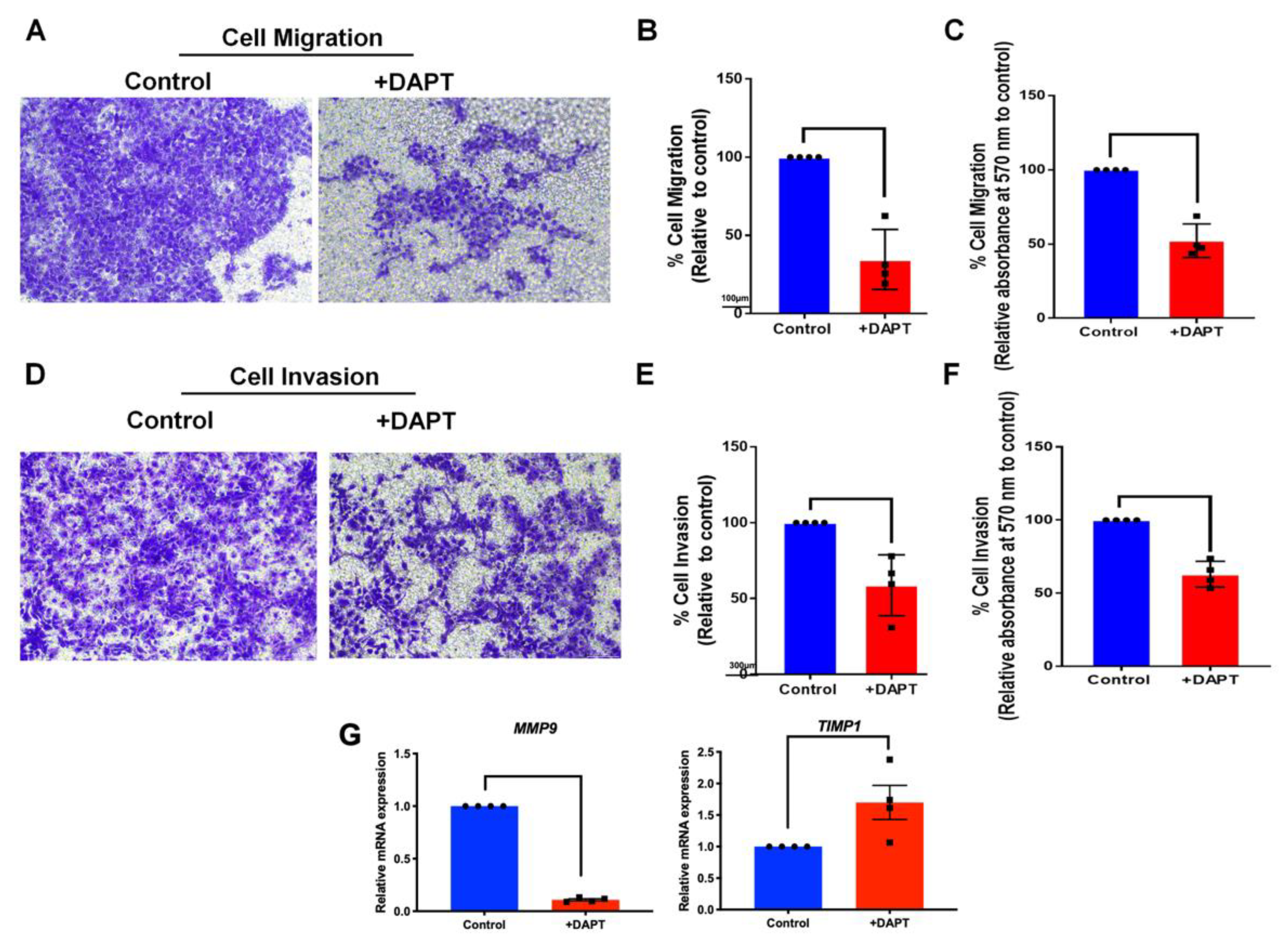Ijms 23 08869 g007 Ijms 23 08869 g007