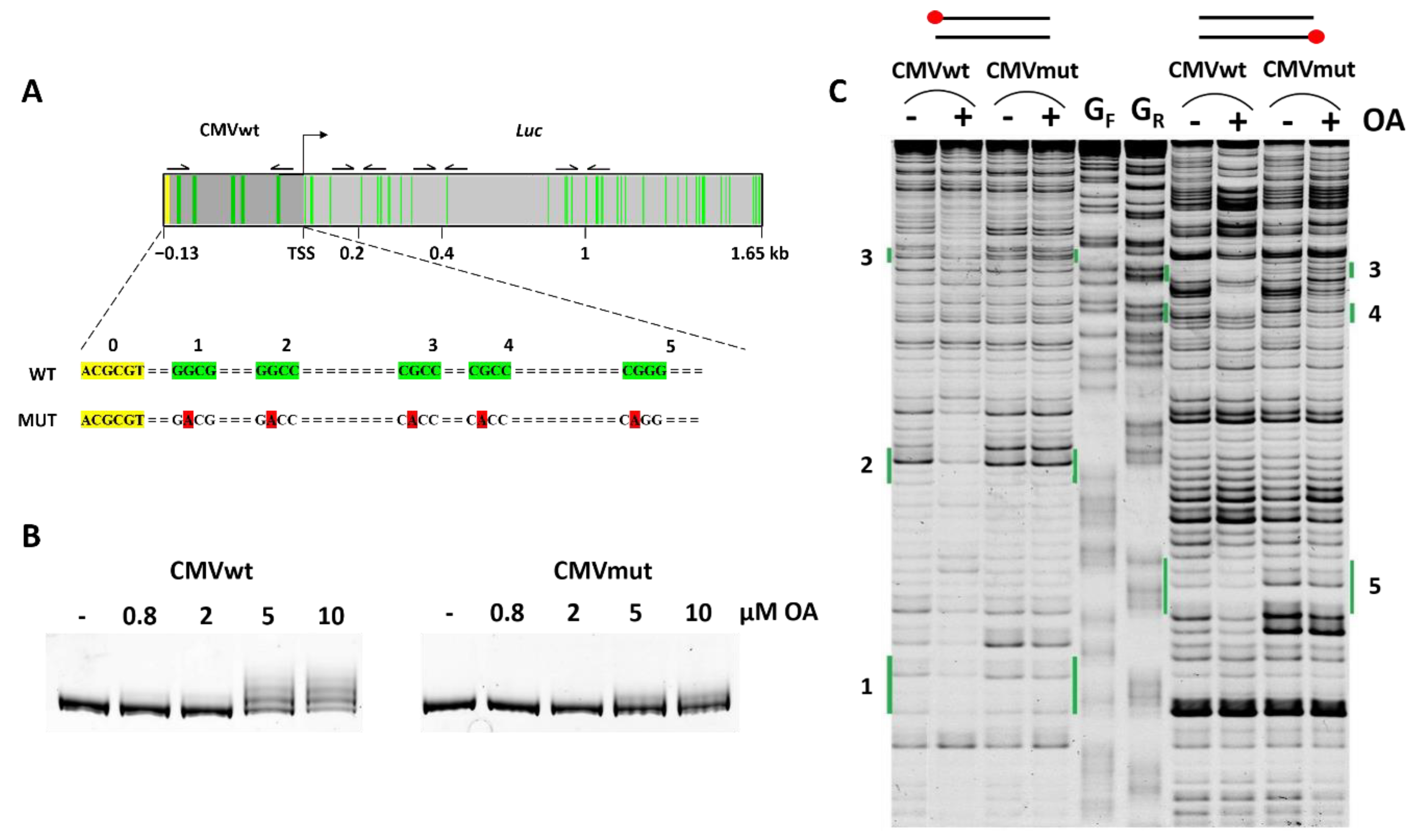 Ijms 23 08871 g001 Ijms 23 08871 g001