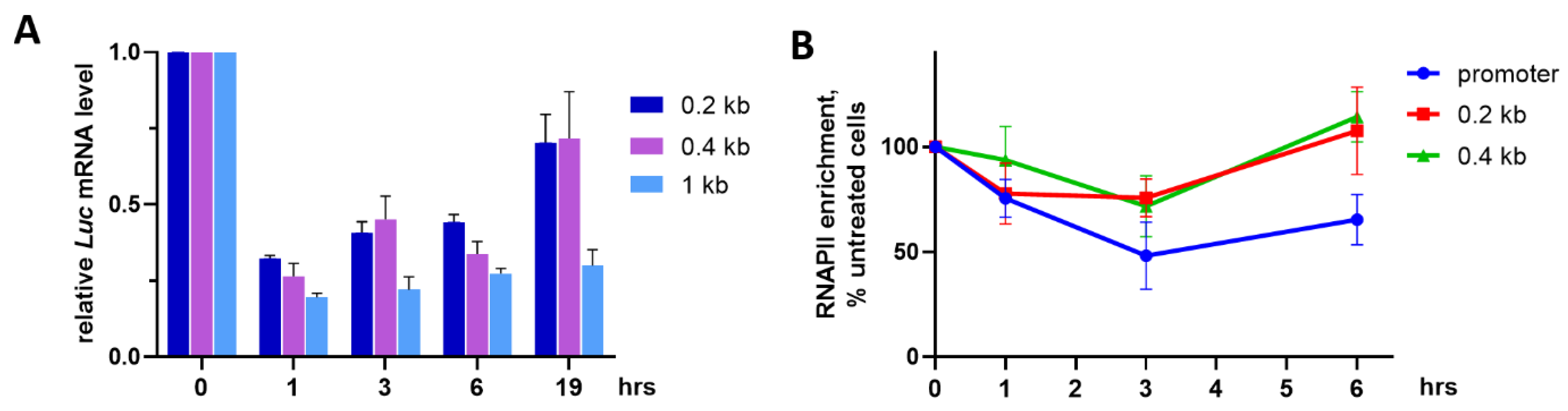 Ijms 23 08871 g003 Ijms 23 08871 g003