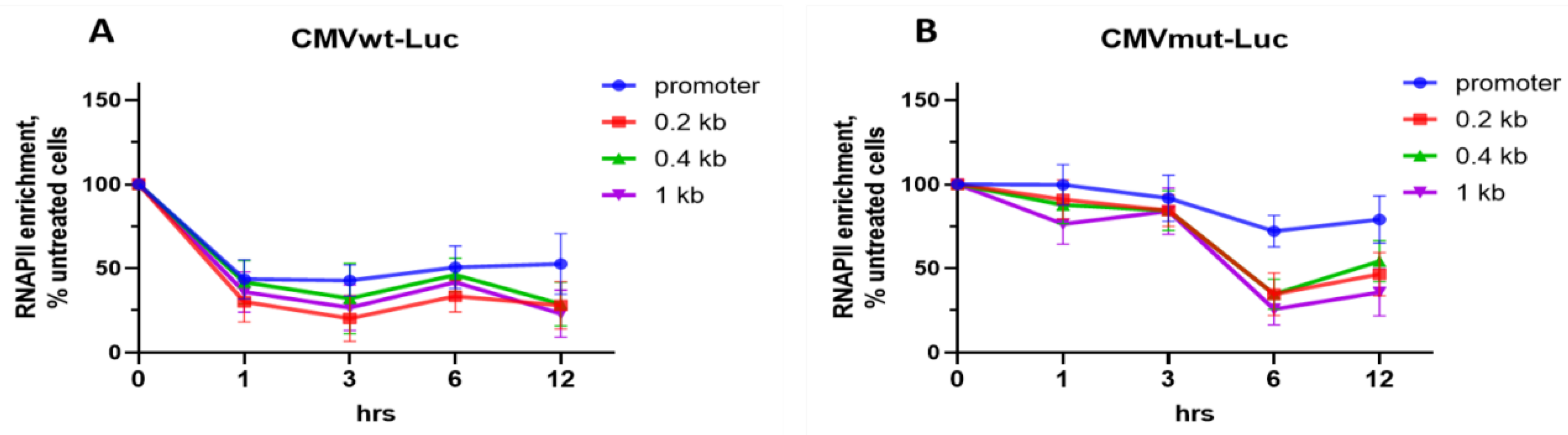 Ijms 23 08871 g004 Ijms 23 08871 g004