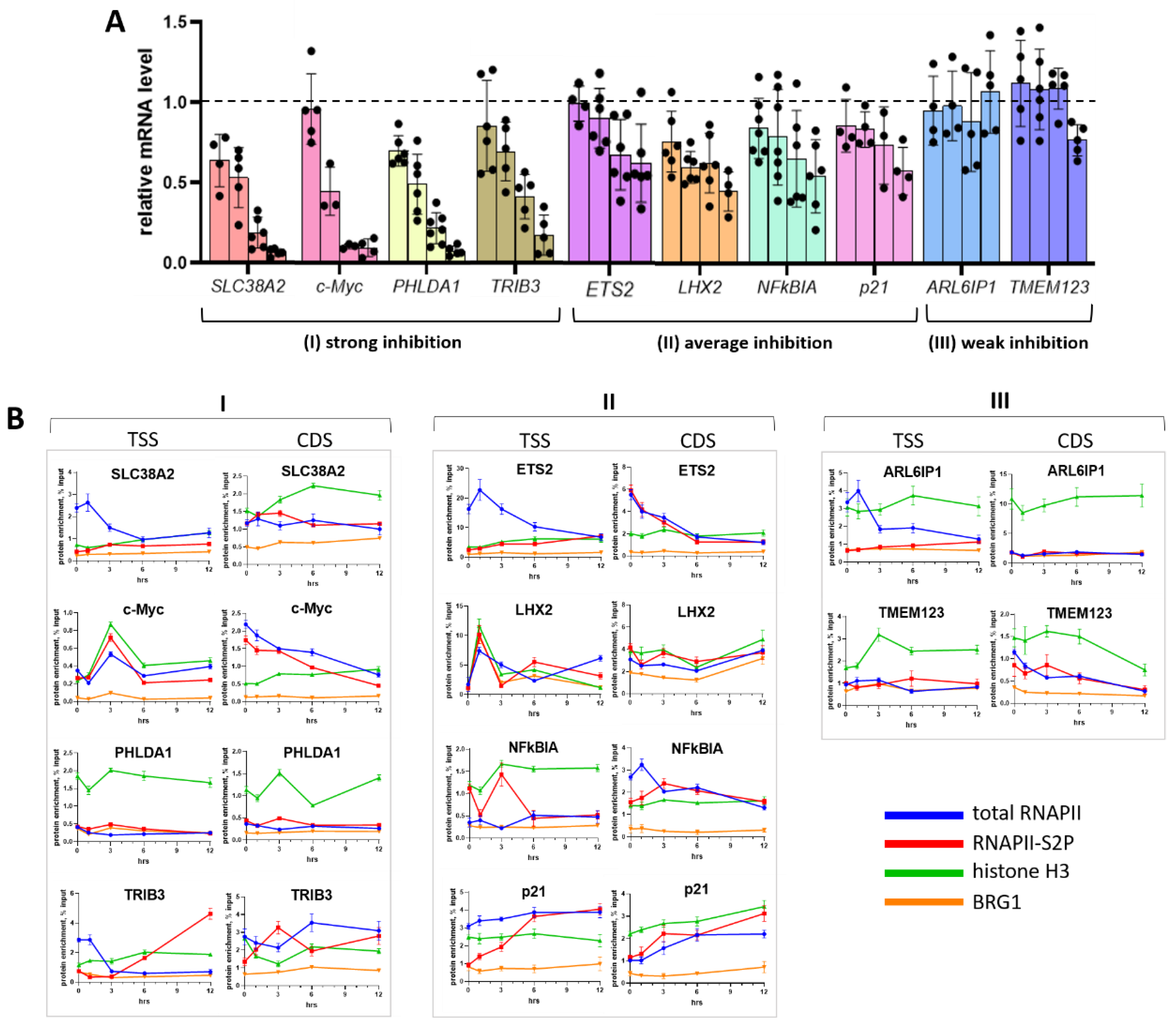Ijms 23 08871 g005 Ijms 23 08871 g005