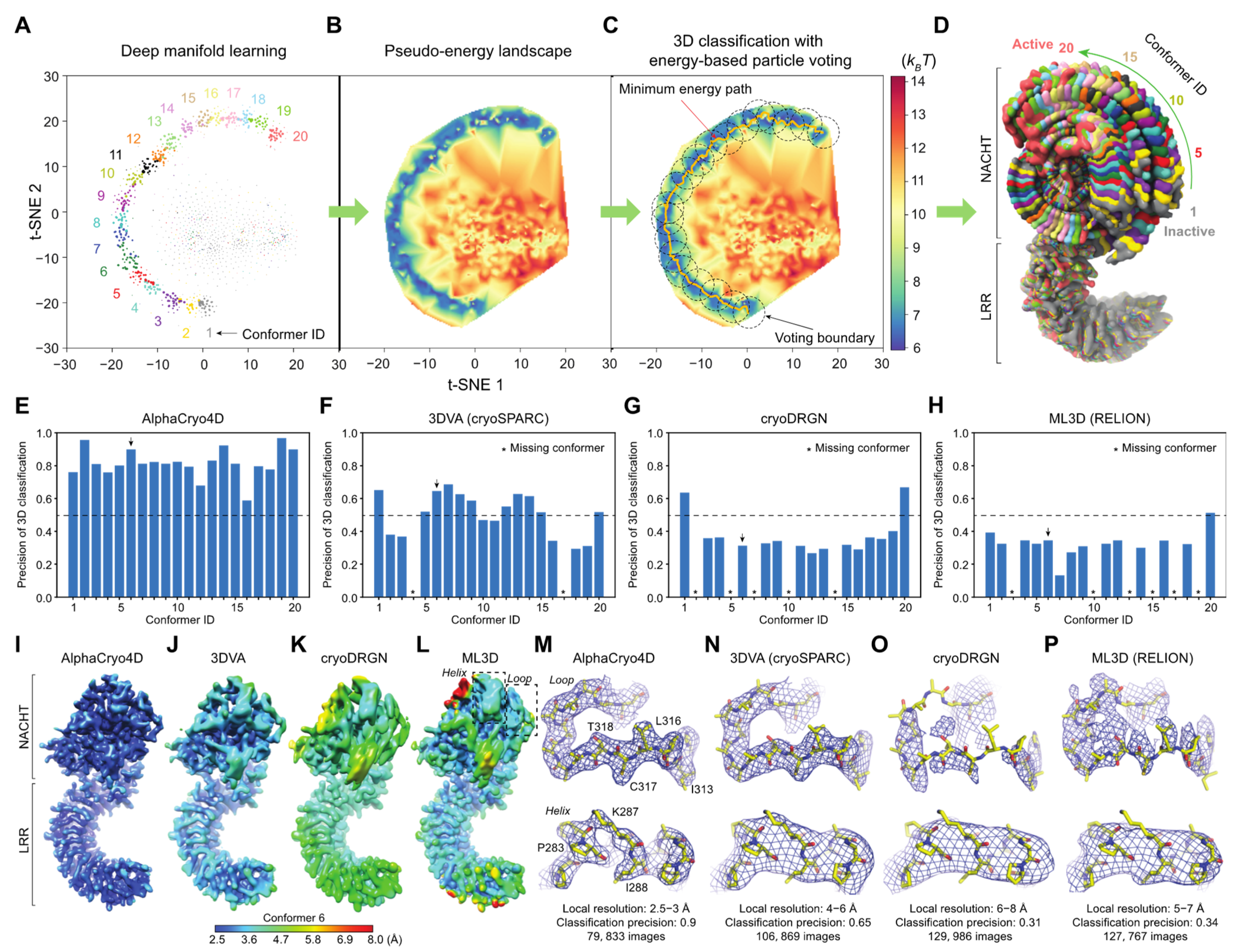 Ijms 23 08872 g002 550