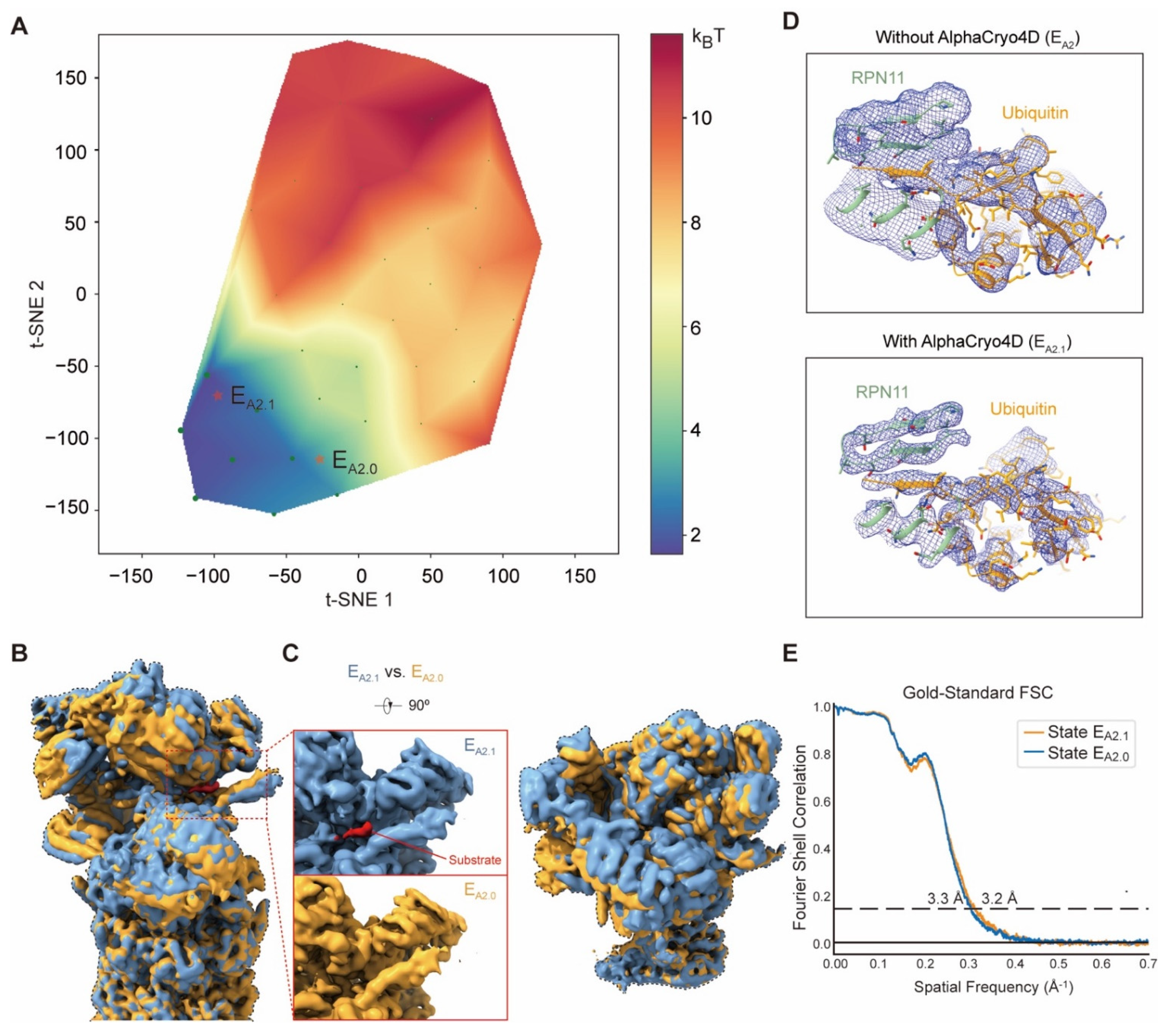 Ijms 23 08872 g006 550