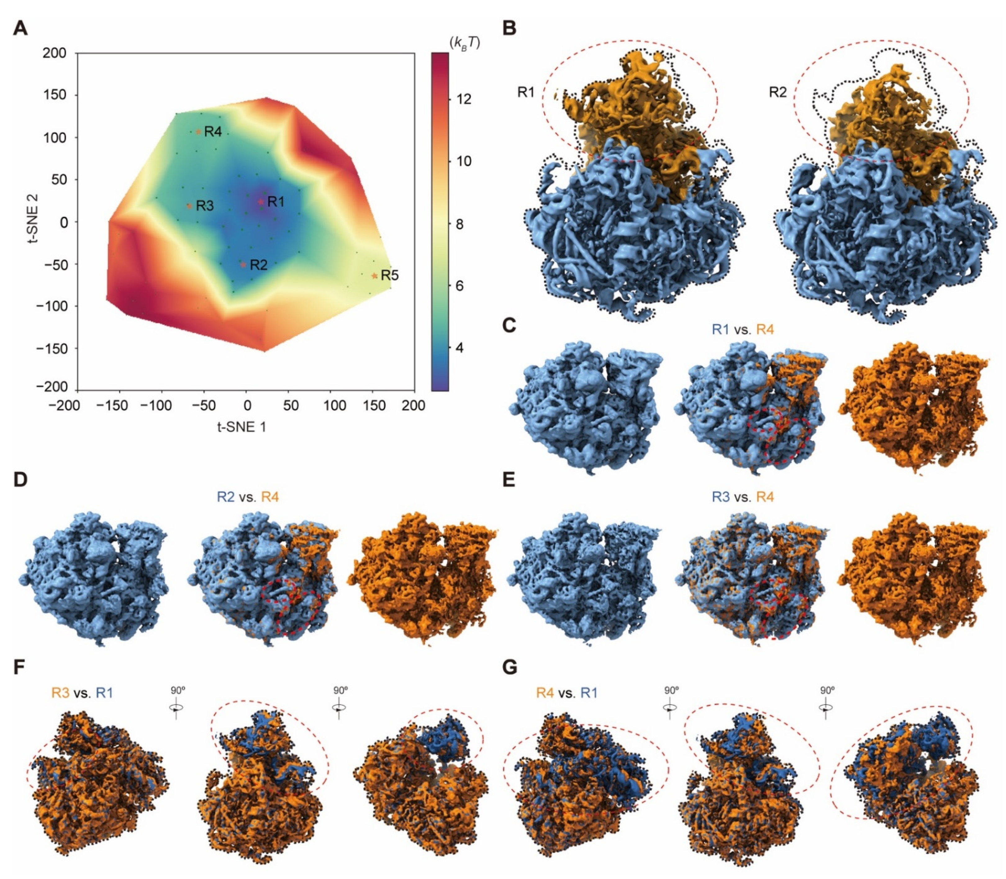 Ijms 23 08872 g007 550