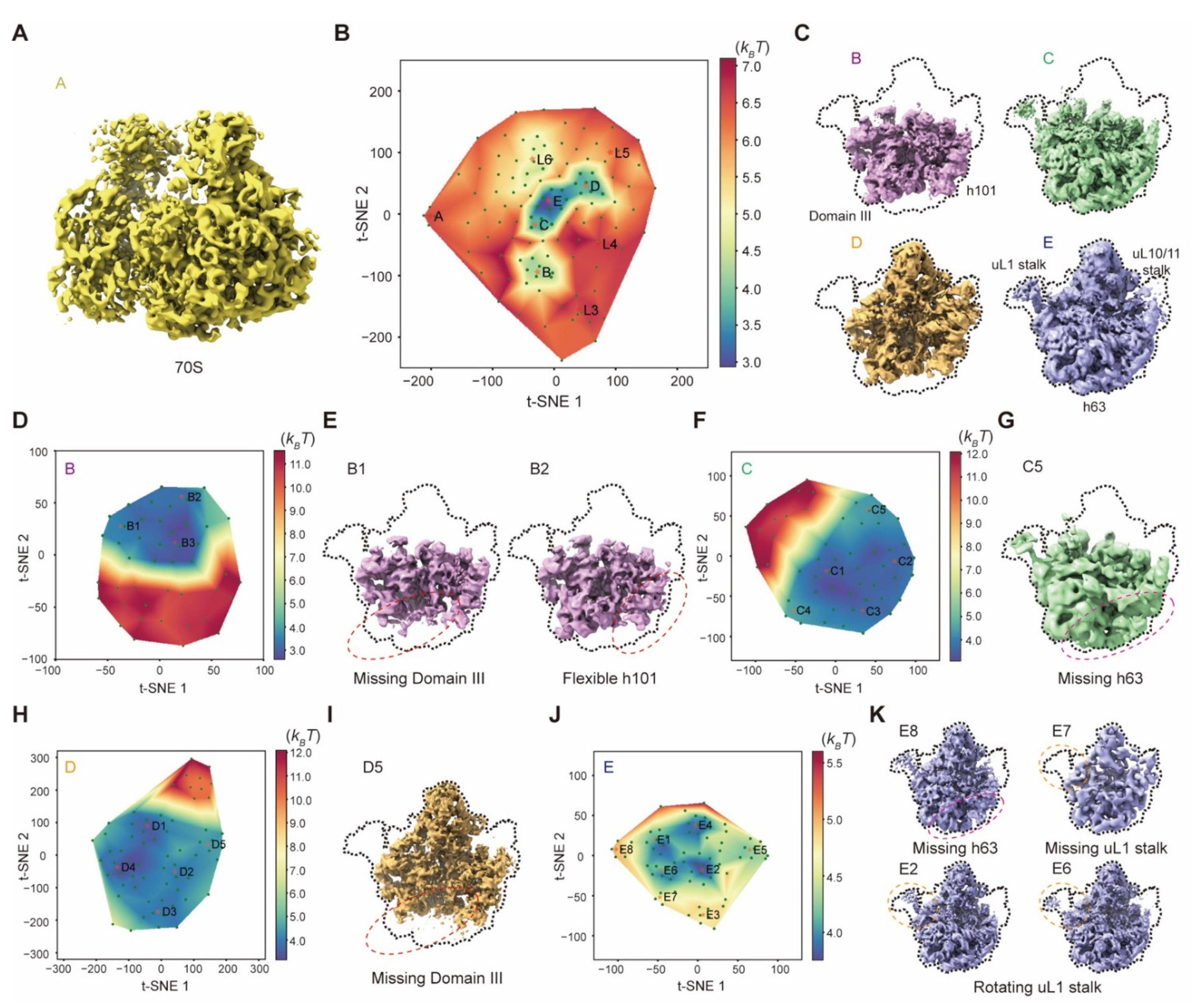 Ijms 23 08872 g009 550