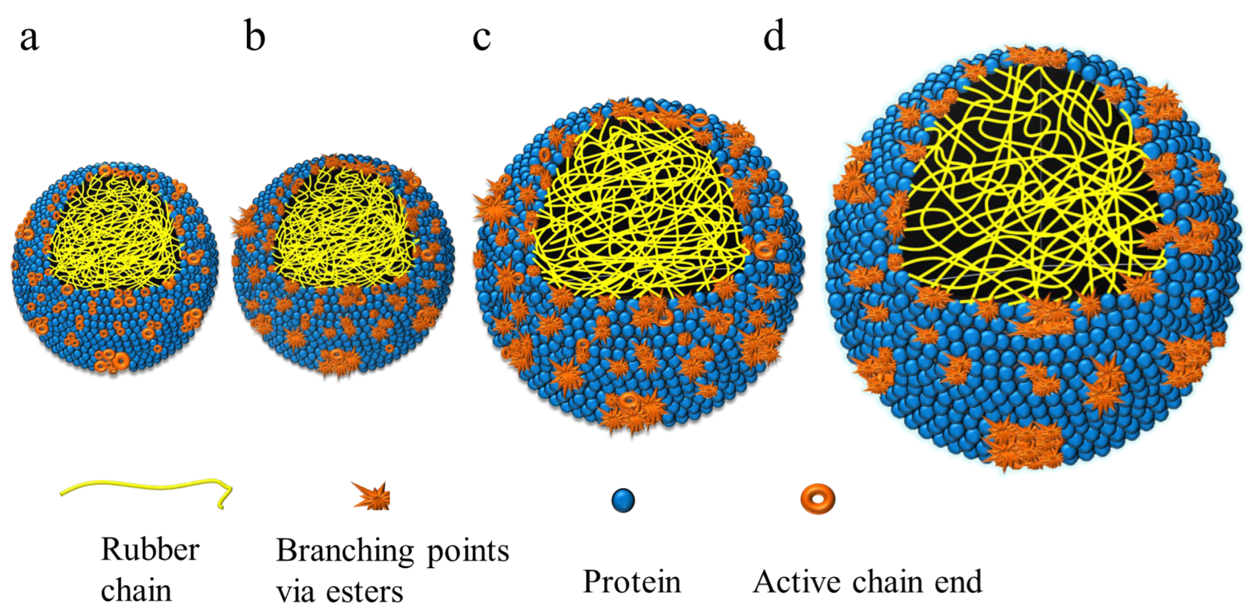 Ijms 23 08880 g009 550