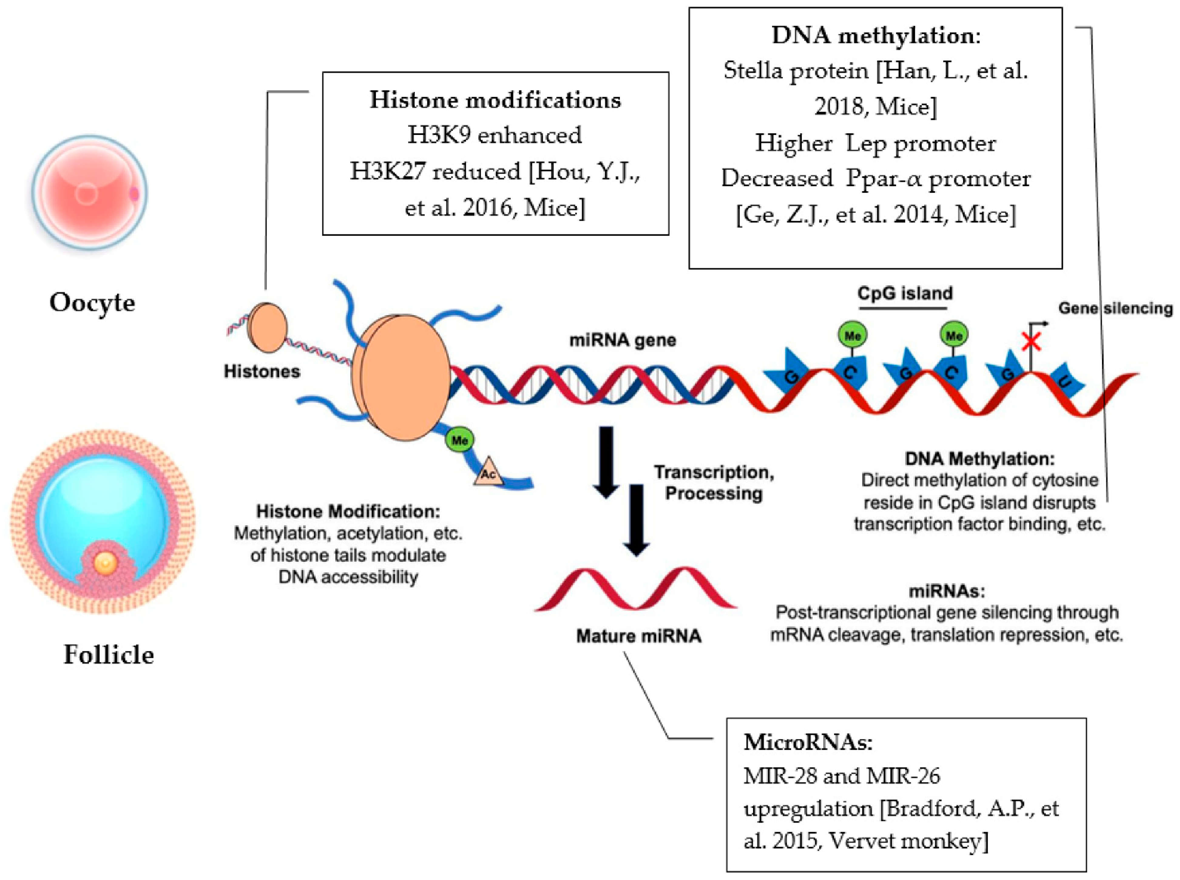 Ijms 23 08890 g002 Ijms 23 08890 g002