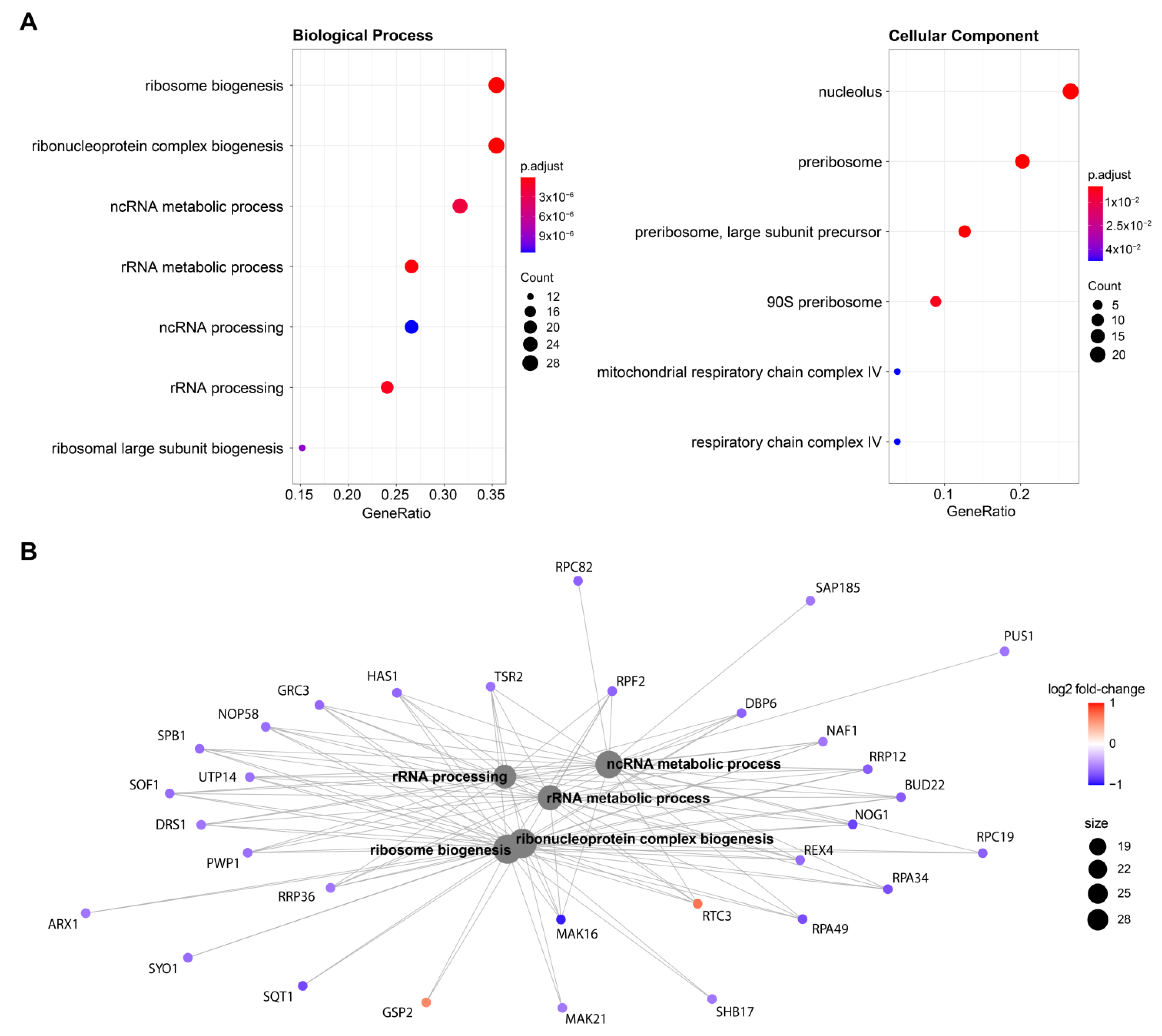 Ijms 23 08892 g003 550