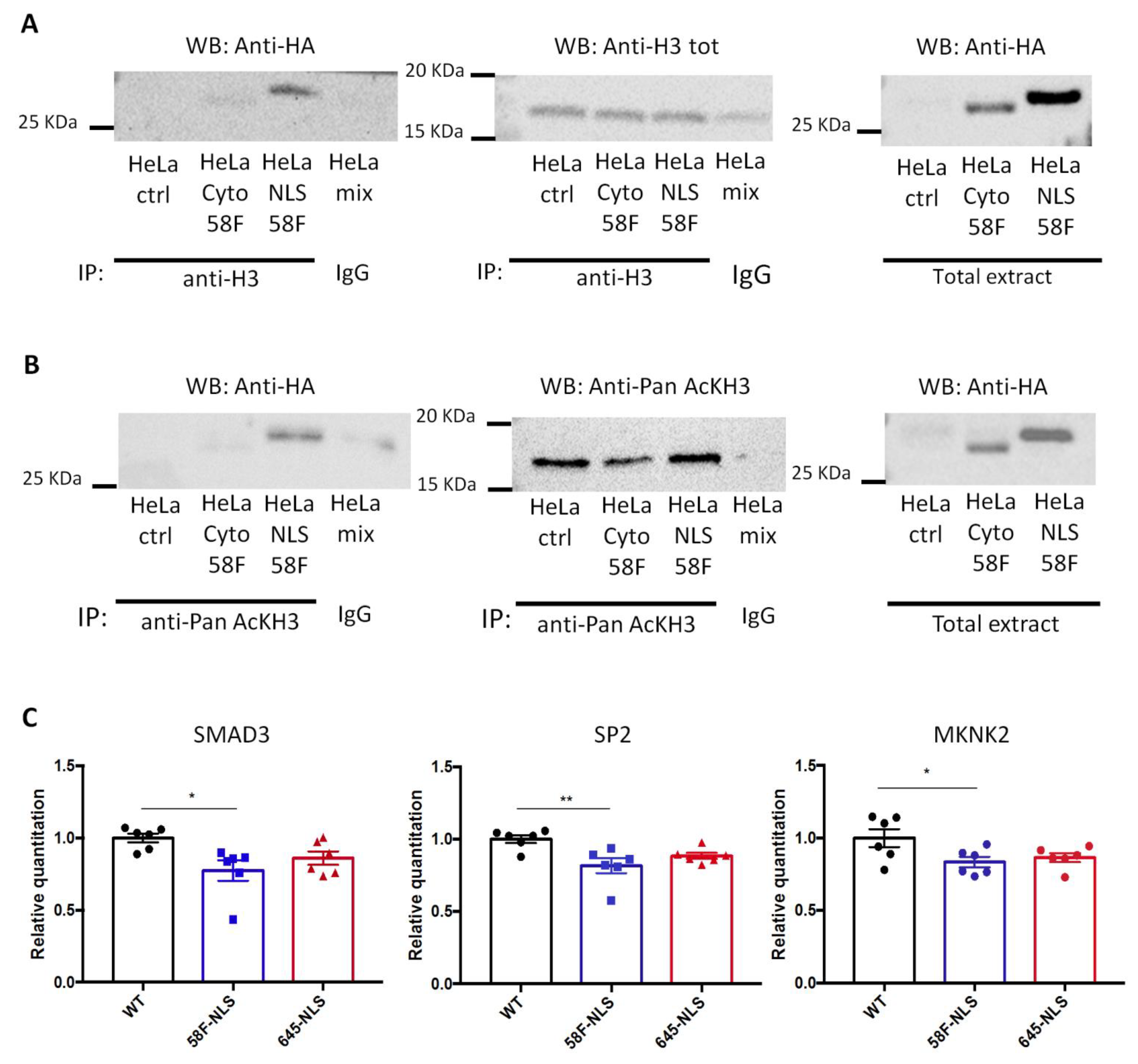 Ijms 23 08892 g004 550