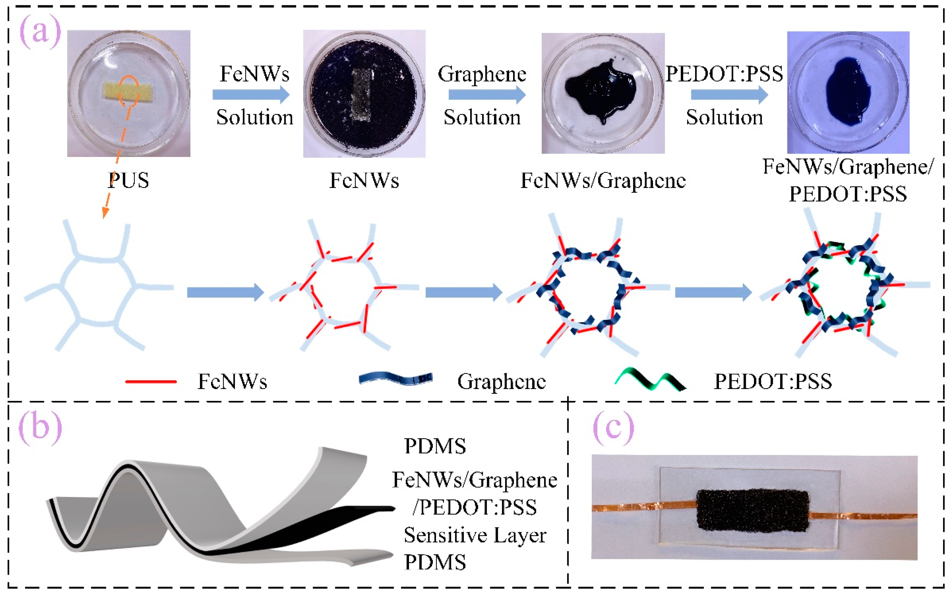 Ijms 23 08895 g001 550