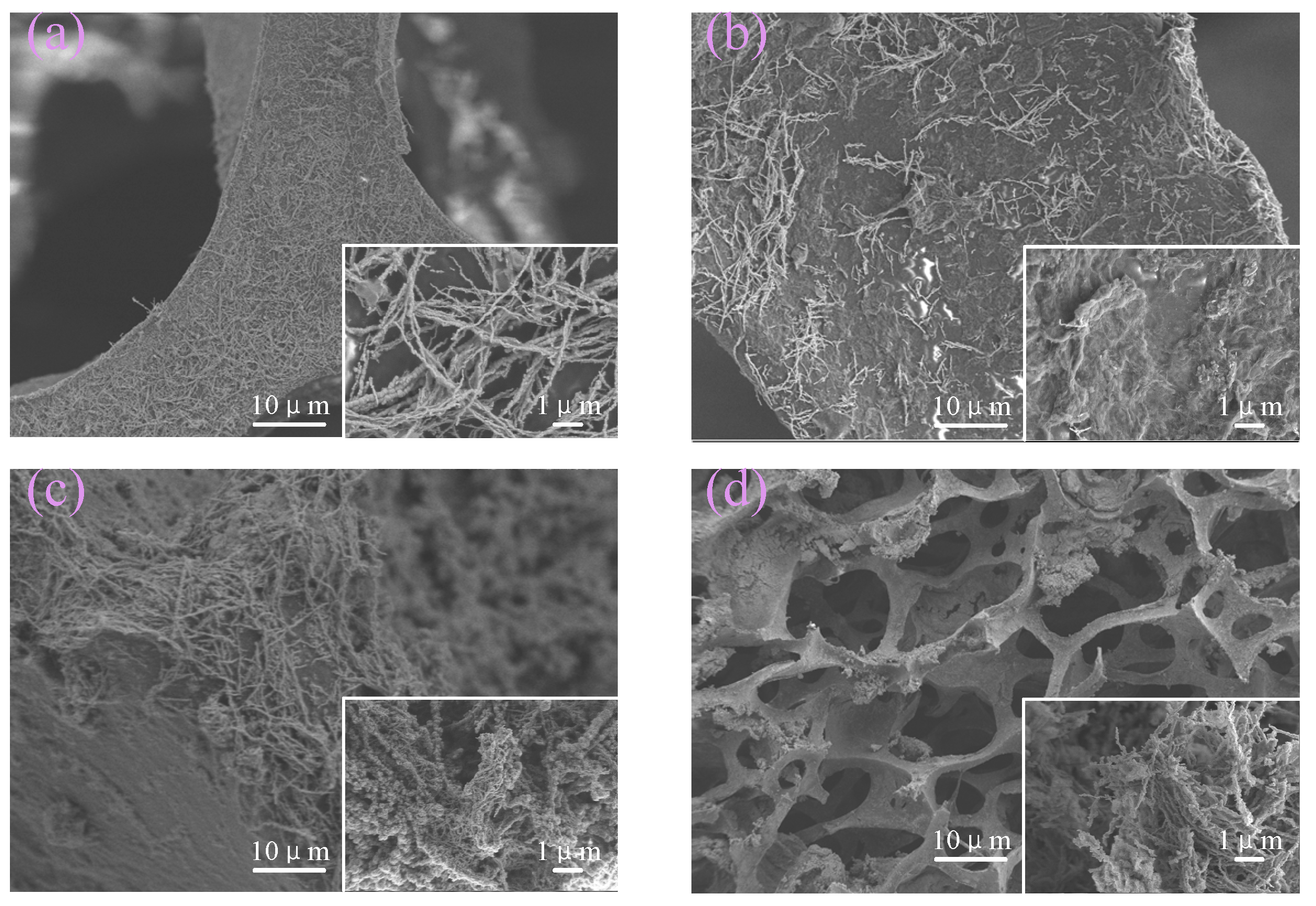 Ijms 23 08895 g002 550