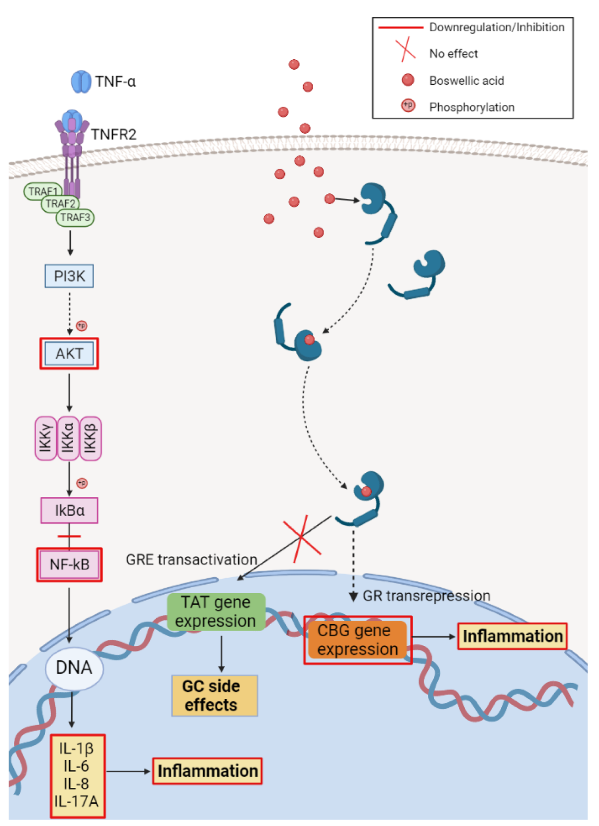 Ijms 23 08896 g008 Ijms 23 08896 g008