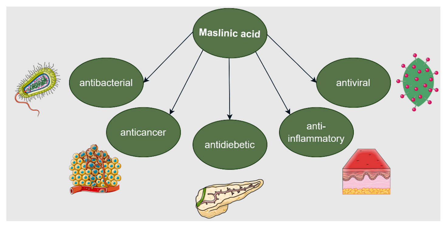 Ijms 23 08896 g015 Ijms 23 08896 g015