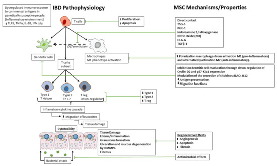 AASA Evolution of Alzheimer's Disease Therapeutics: From