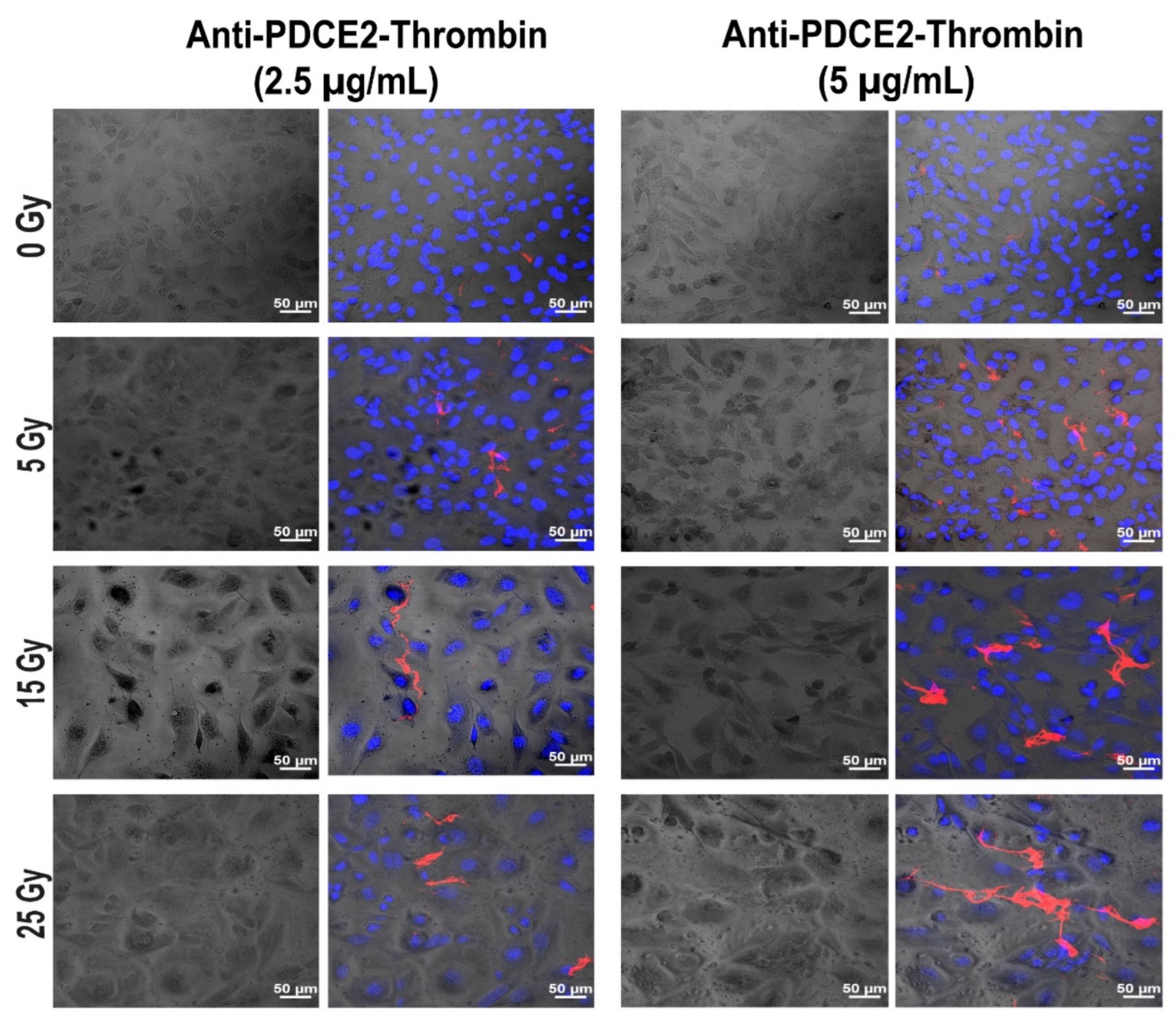 Ijms 23 08908 g003 550