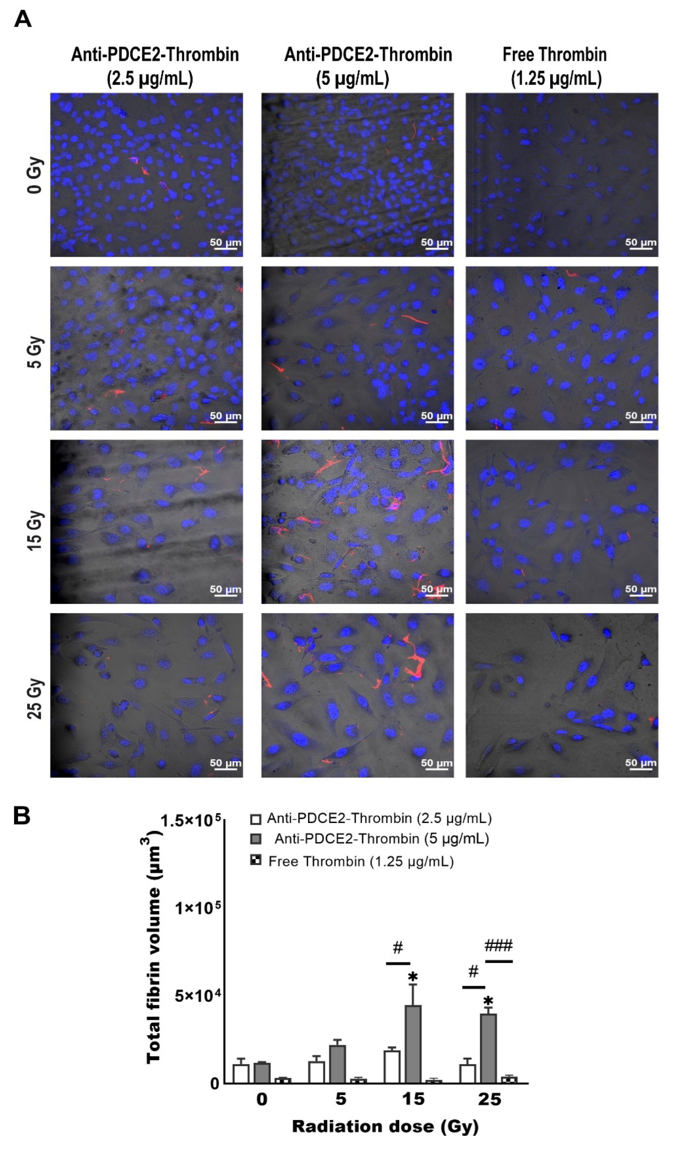 Ijms 23 08908 g005 550
