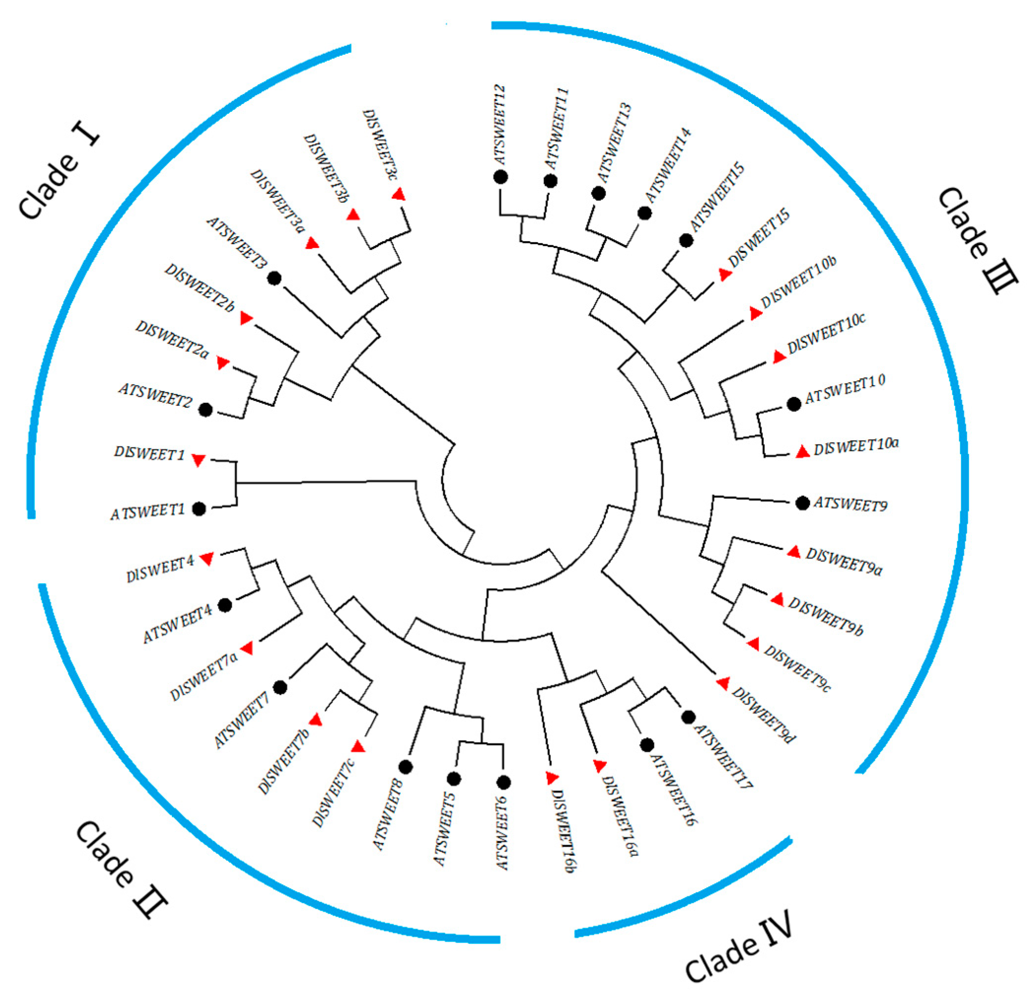 Ijms 23 08914 g001 550