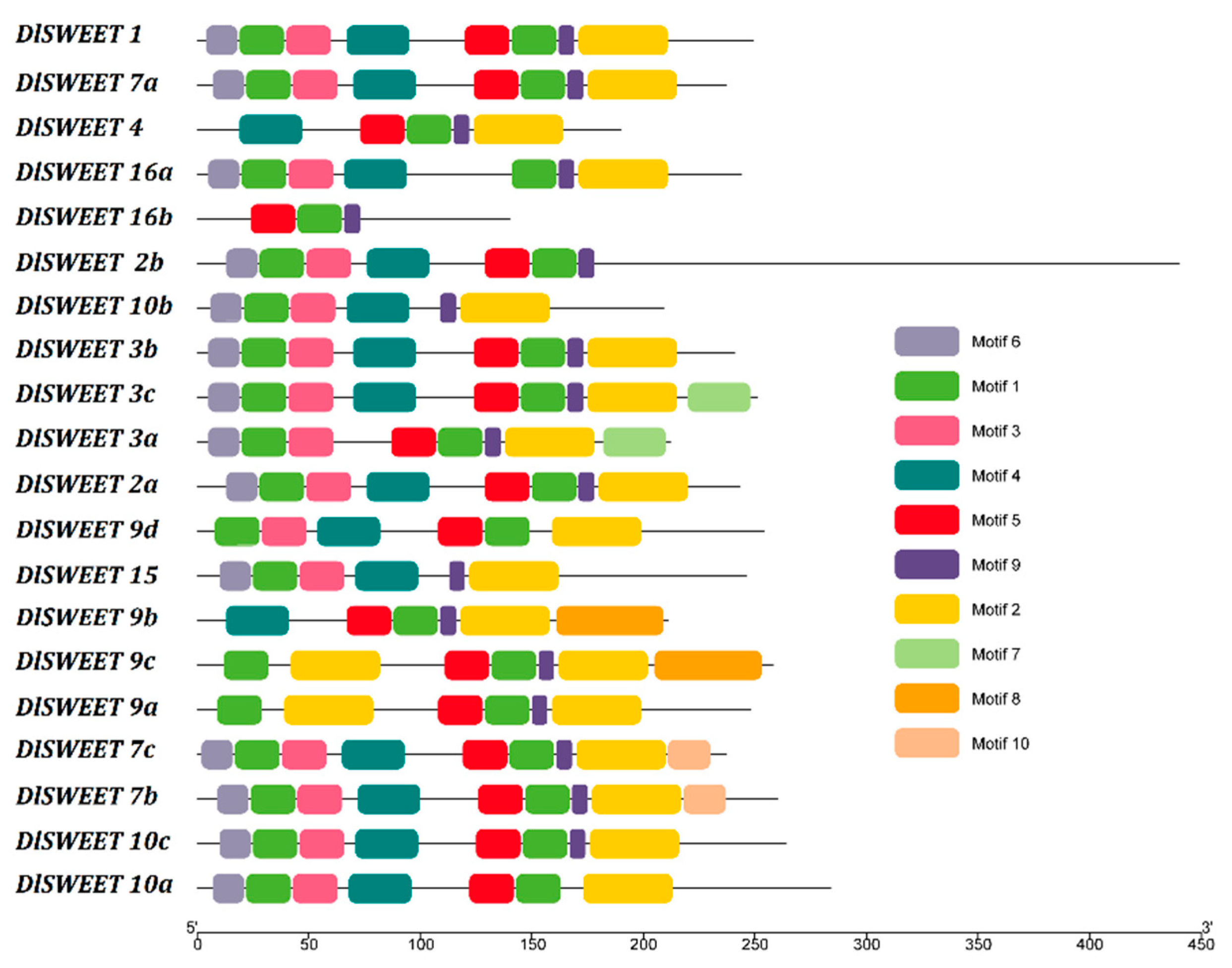 Ijms 23 08914 g002 550