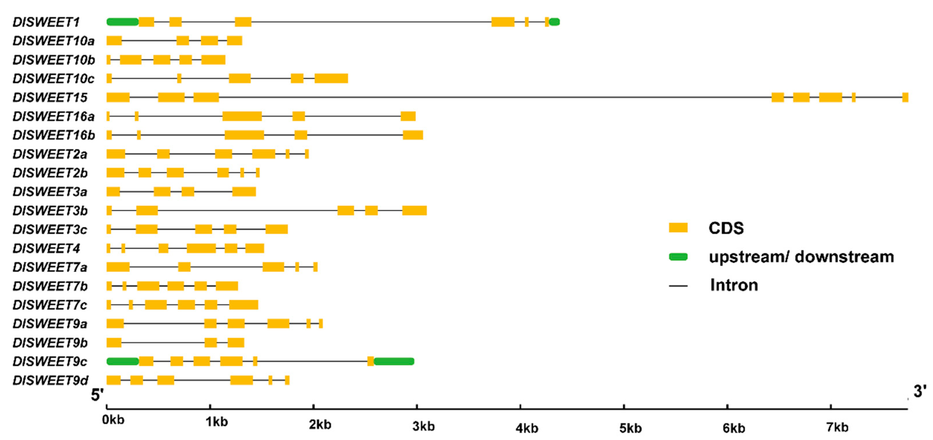 Ijms 23 08914 g003 550