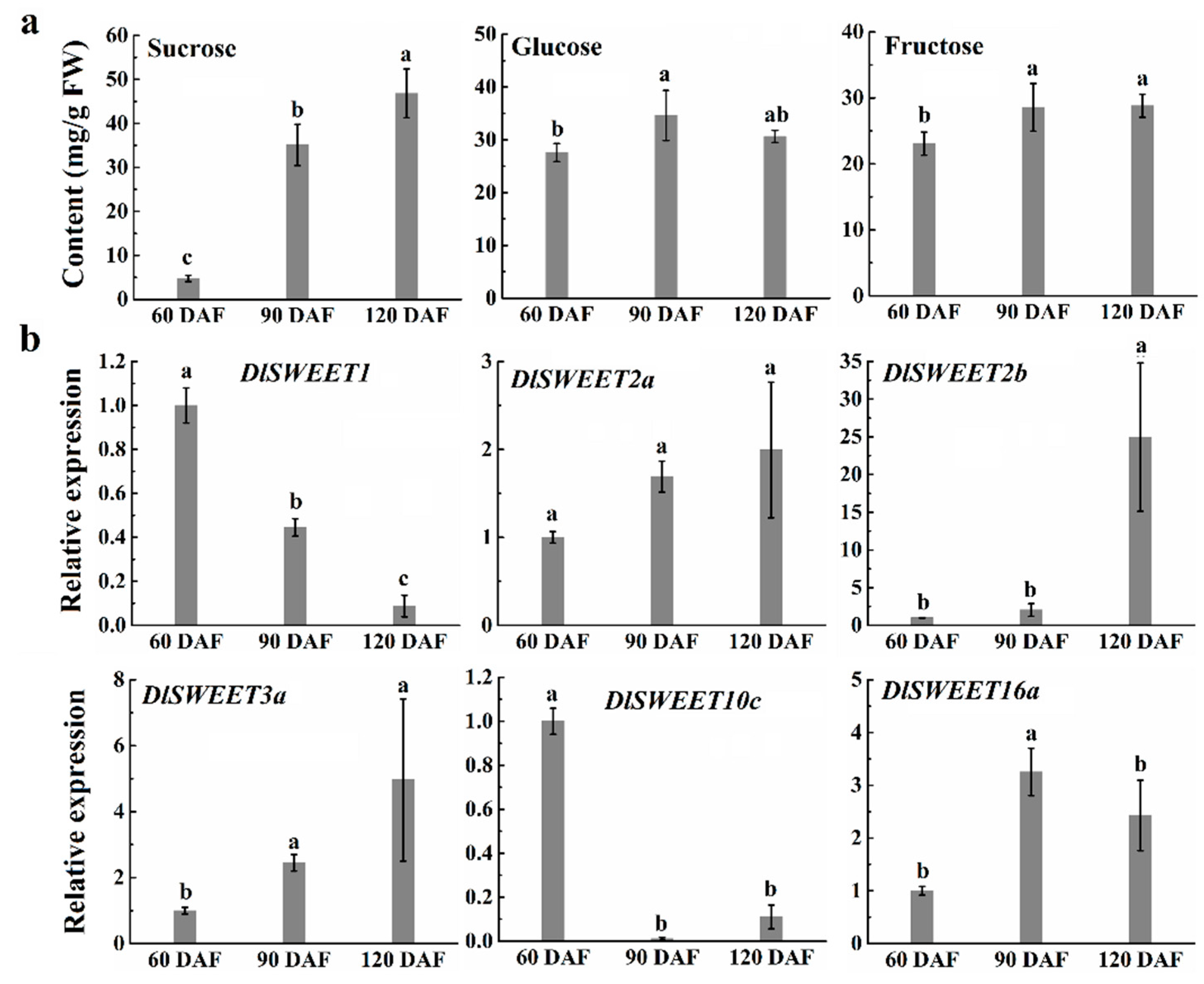 Ijms 23 08914 g006 550