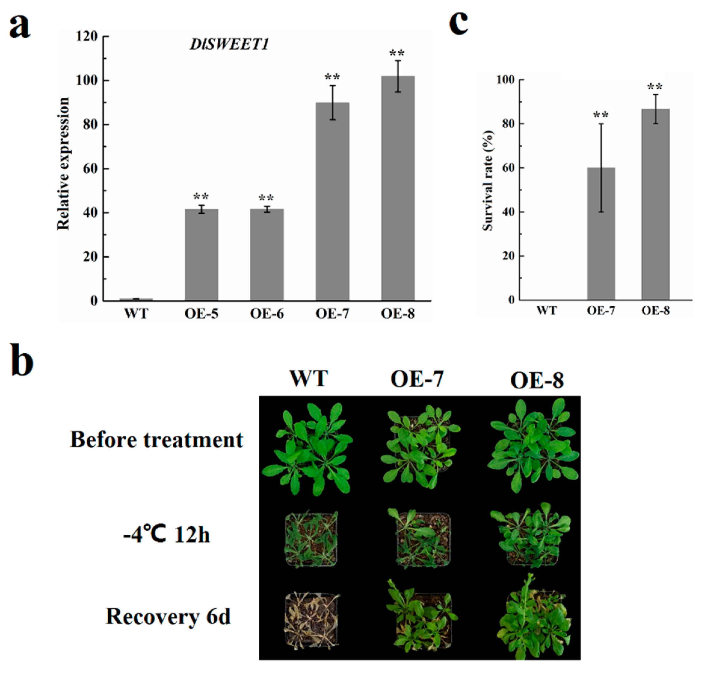 Ijms 23 08914 g008 550