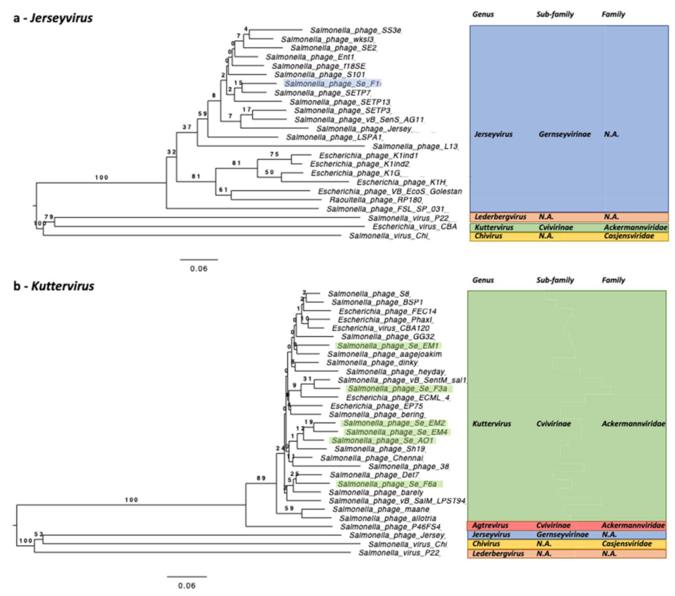 Ijms 23 08917 g004 550