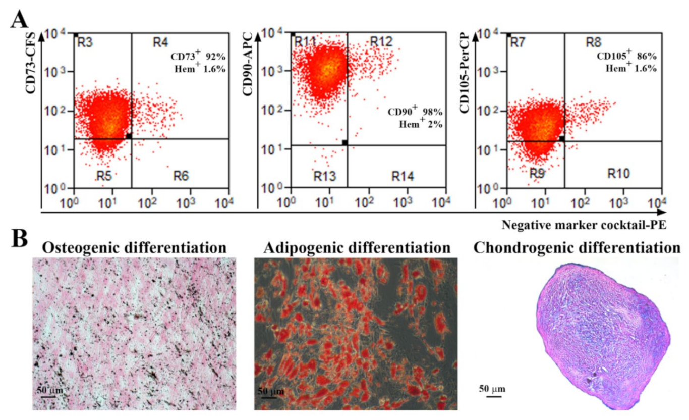 Ijms 23 08925 g001 550