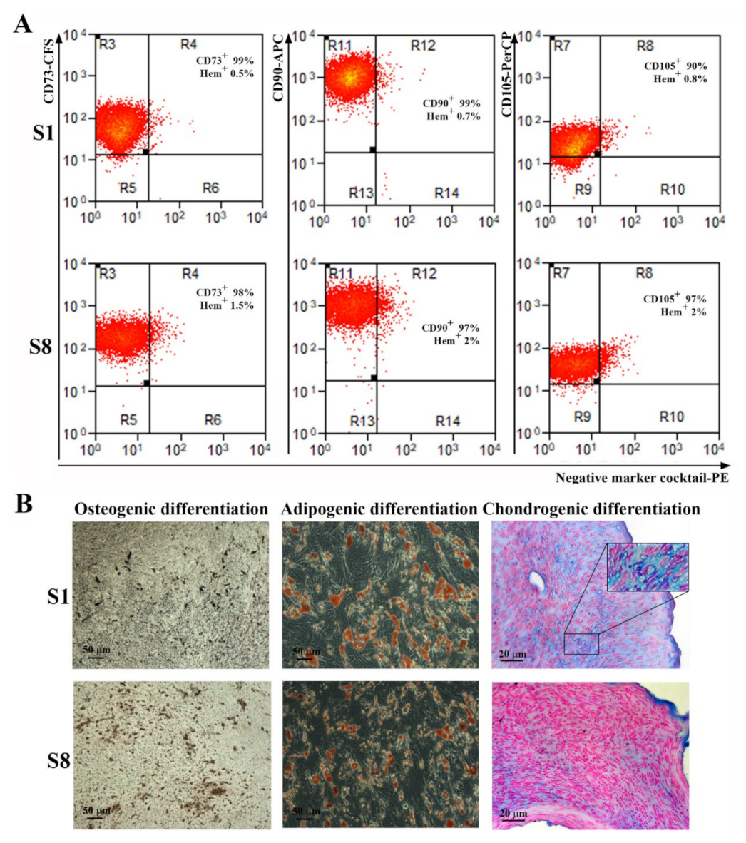 Ijms 23 08925 g004 550