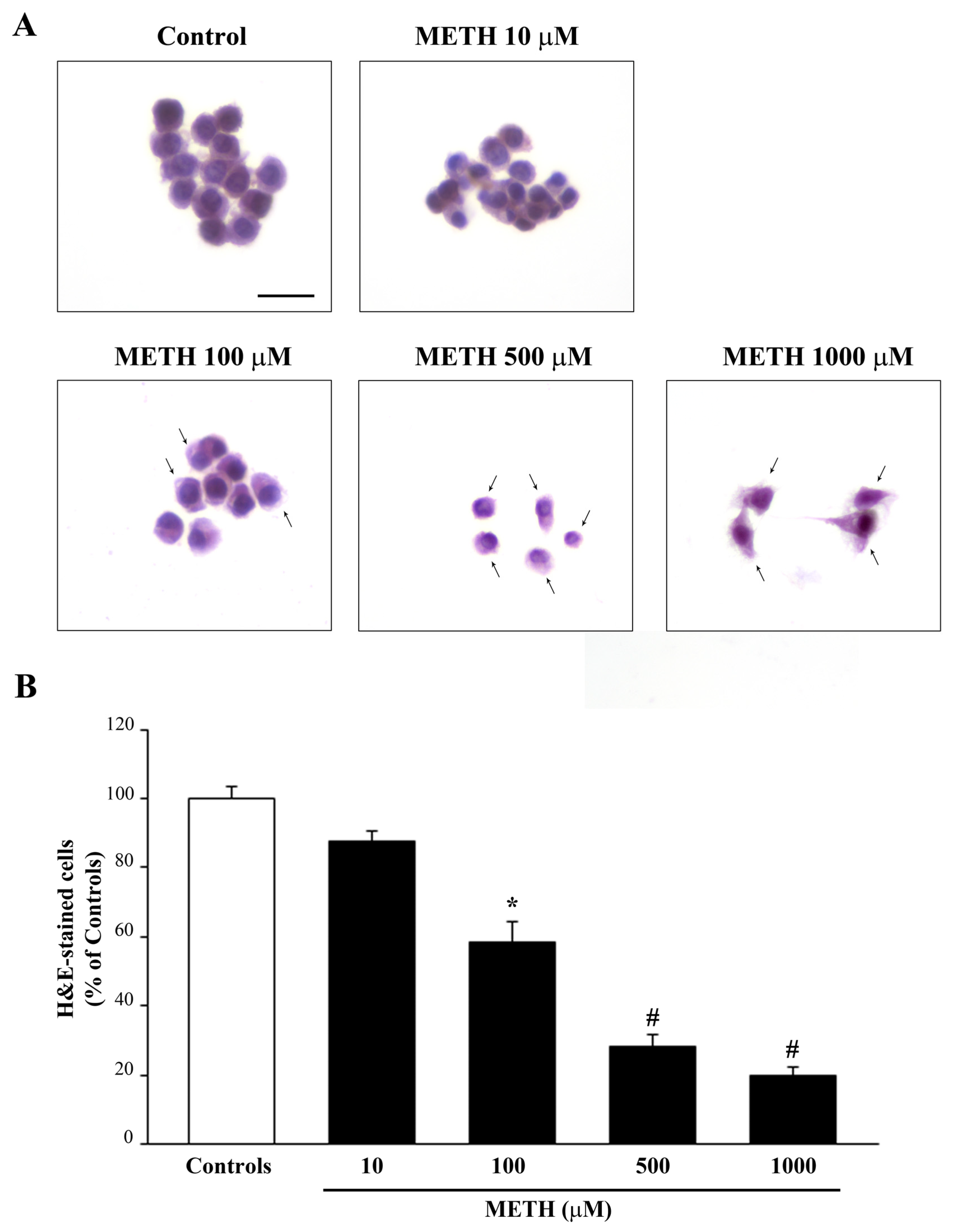 Ijms 23 08926 g001 550