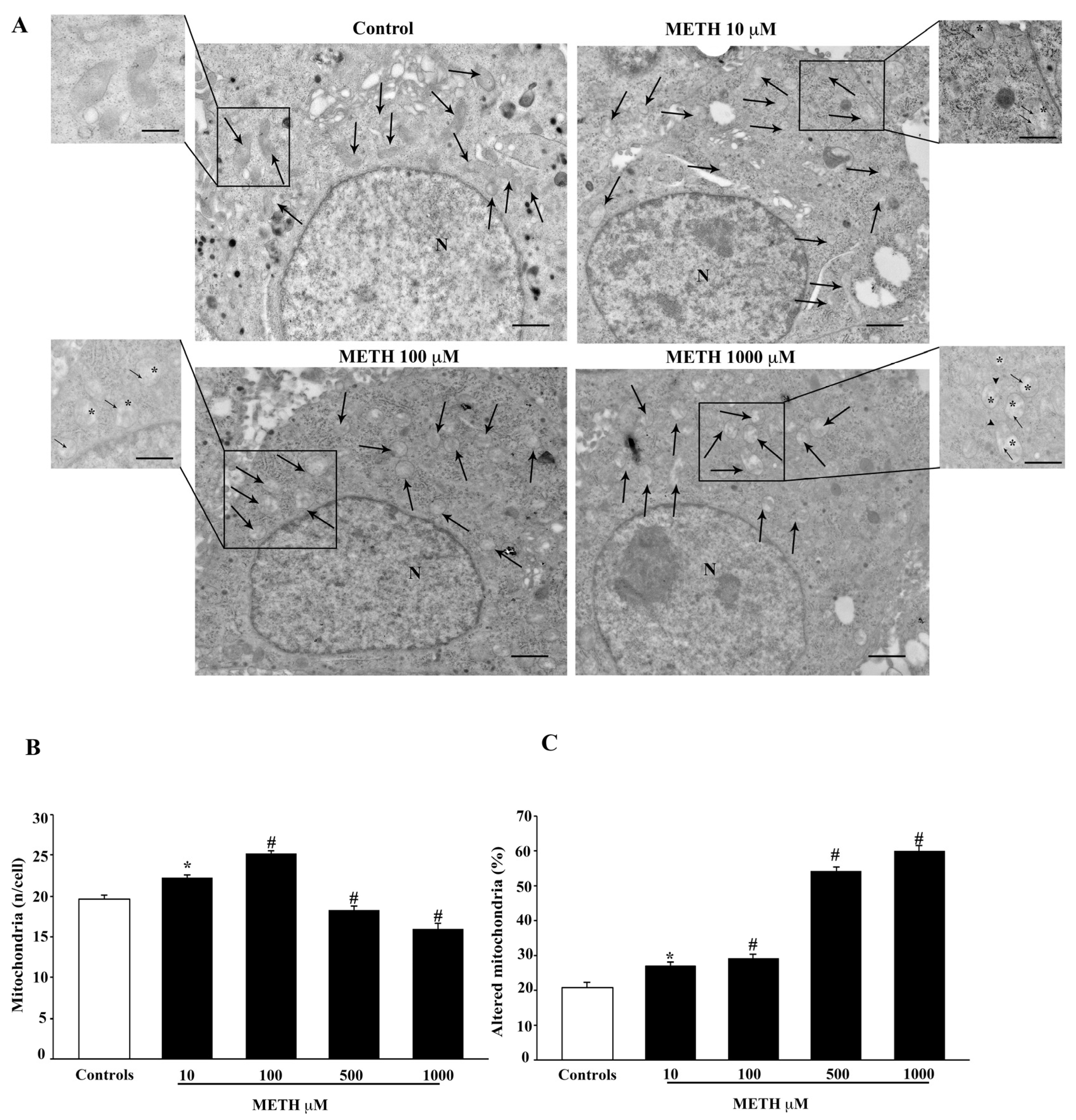 Ijms 23 08926 g006 550