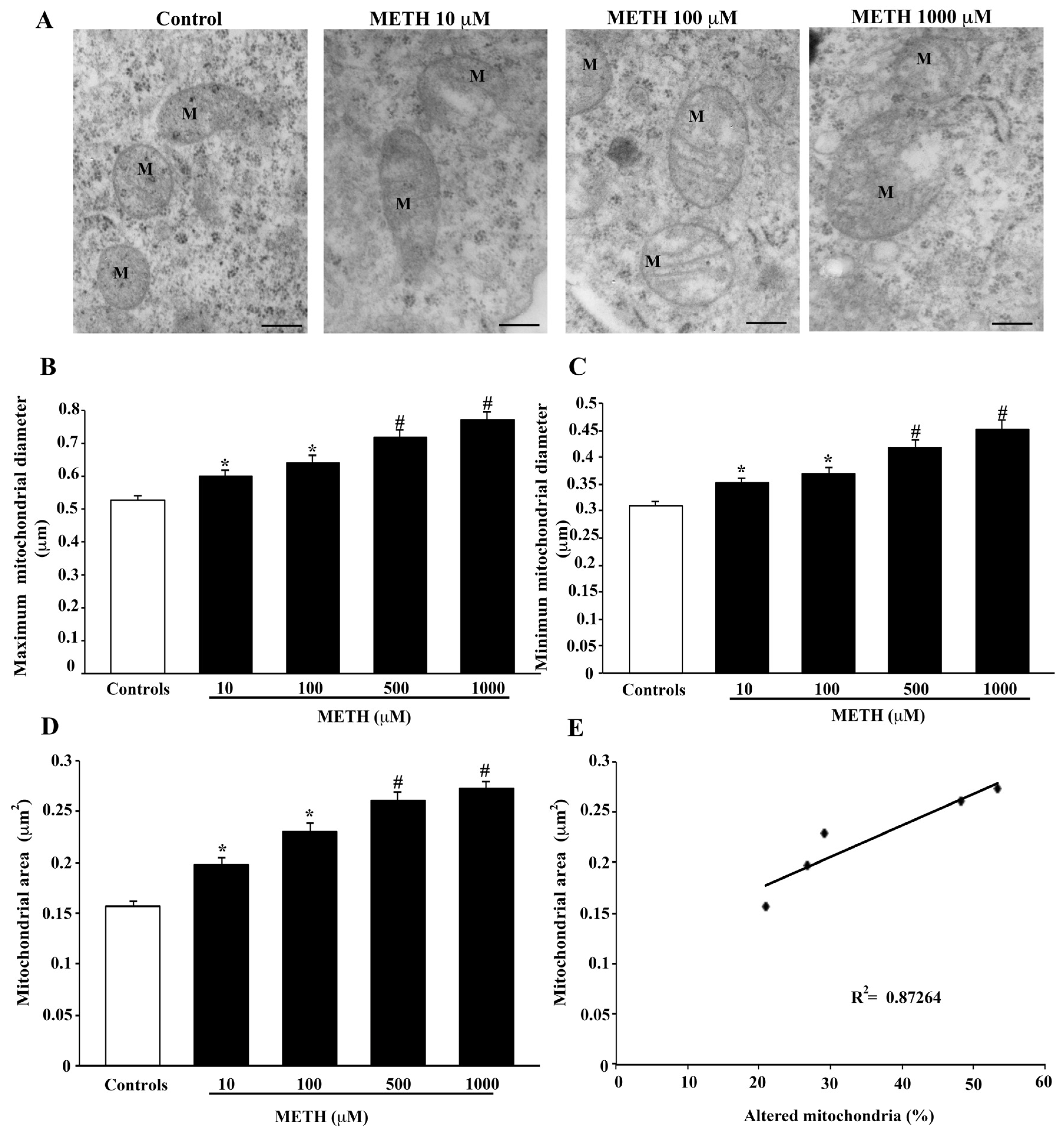 Ijms 23 08926 g007 550