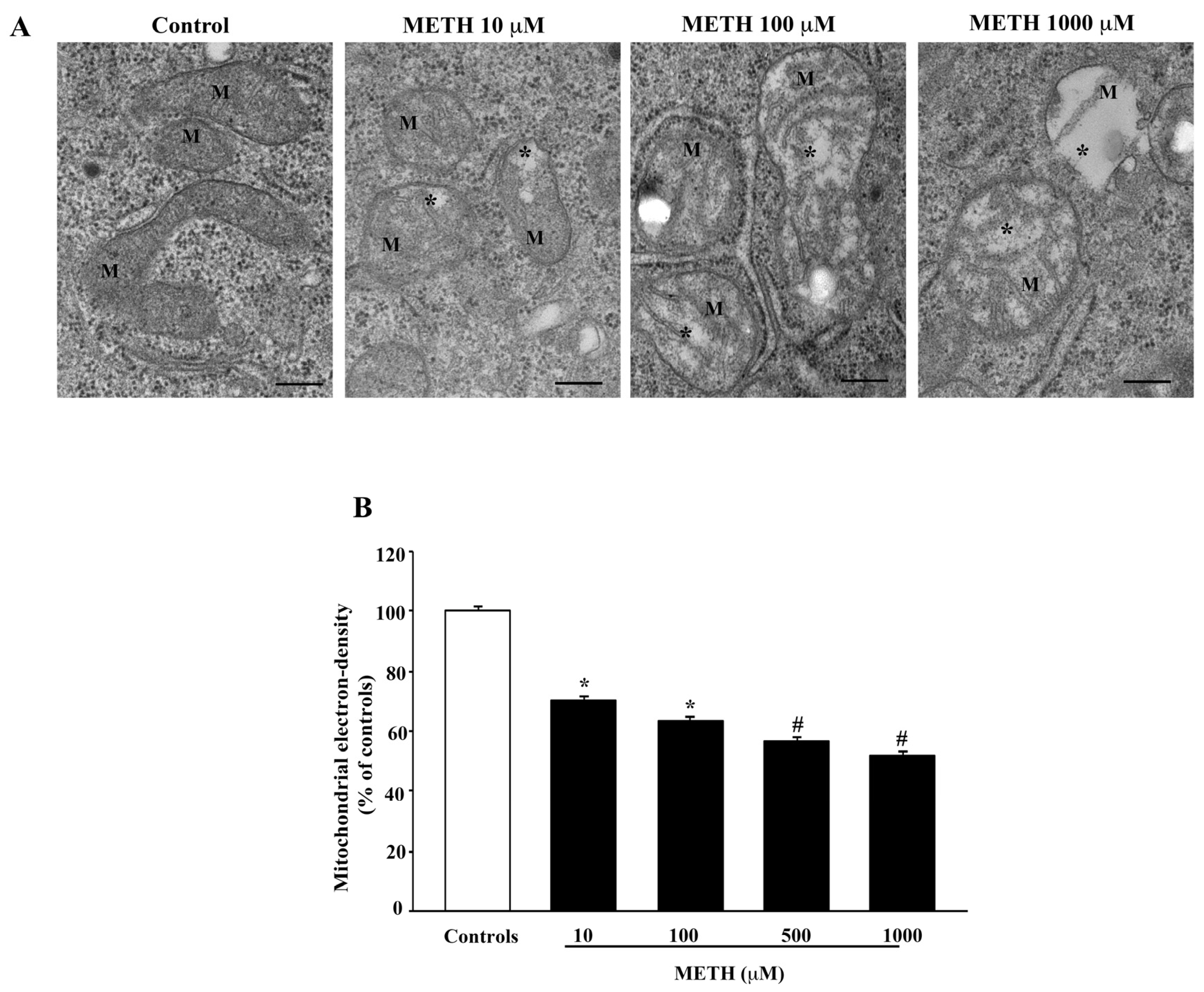 Ijms 23 08926 g008 550