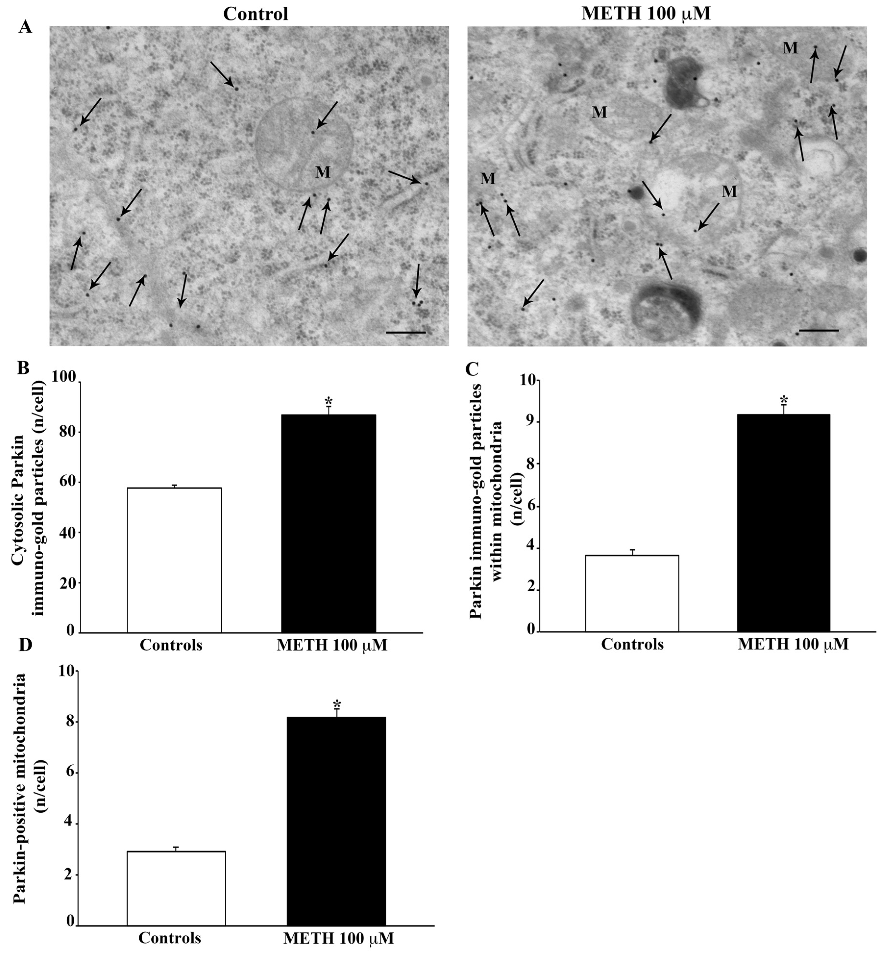 Ijms 23 08926 g014 550