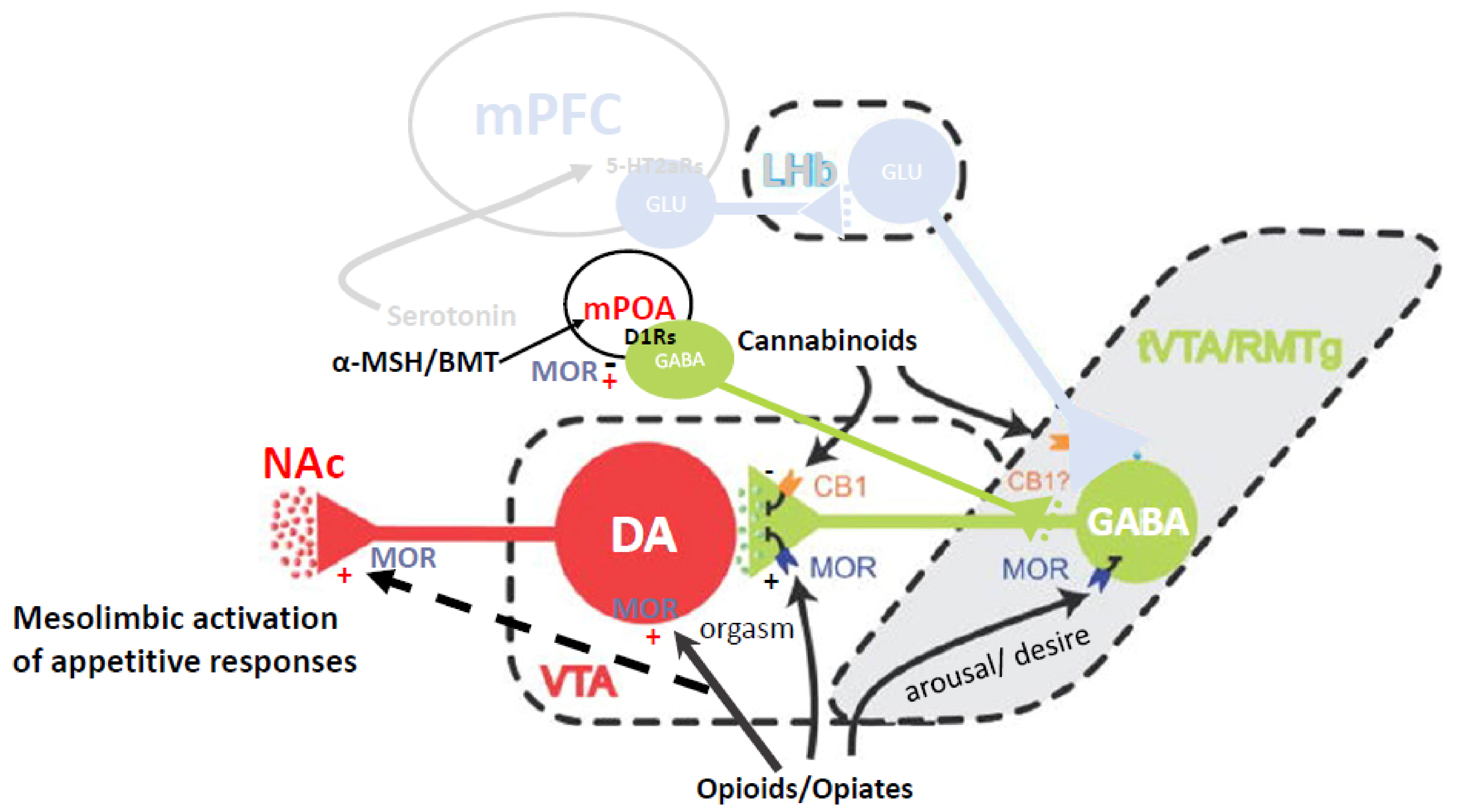 Ijms 23 08928 g005 Ijms 23 08928 g005