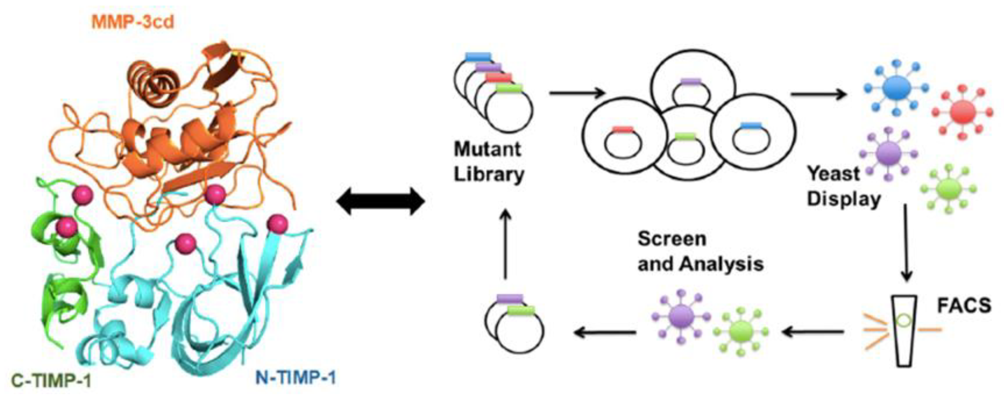 Ijms 23 08929 g001 550