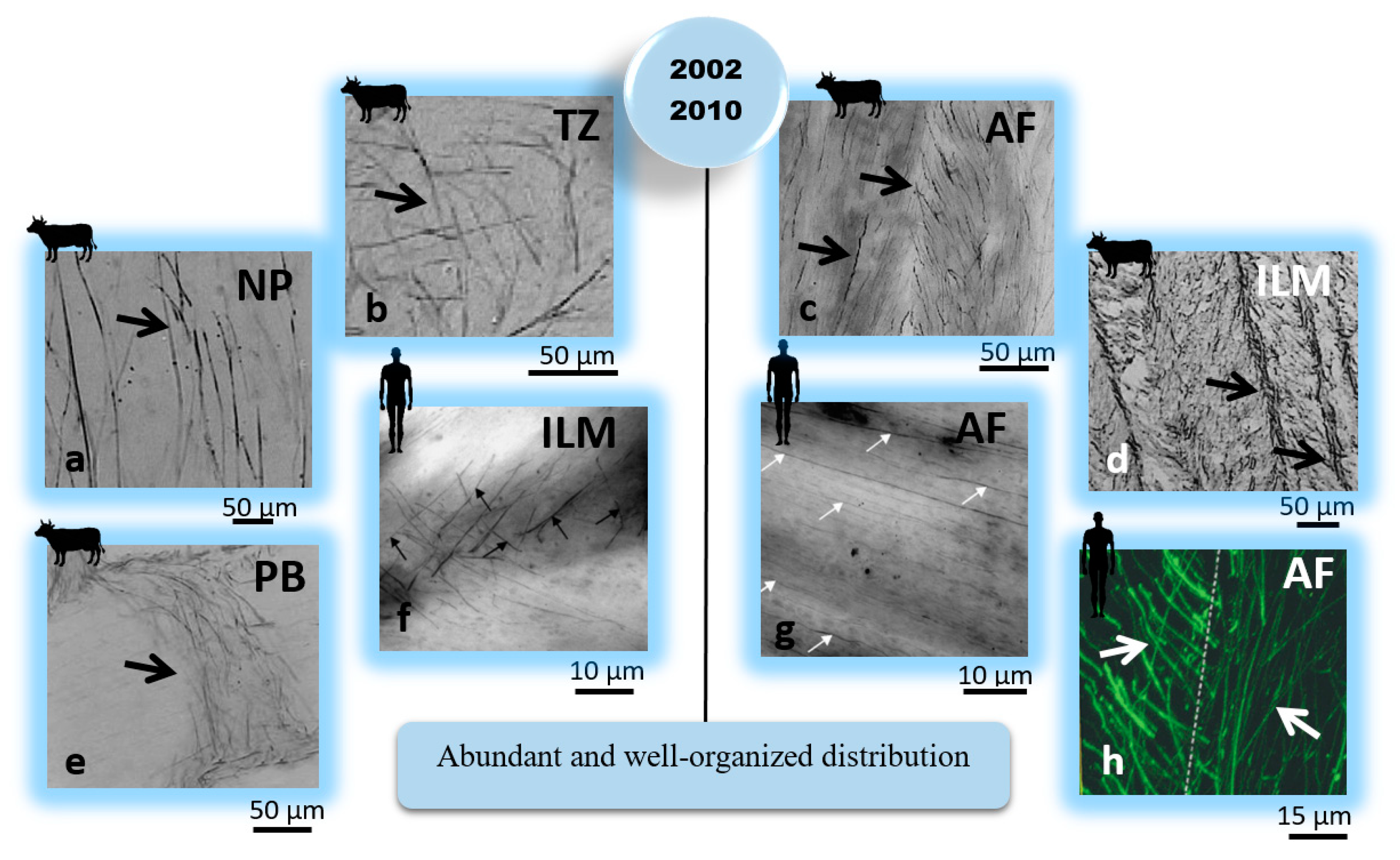 Ijms 23 08931 g003 Ijms 23 08931 g003