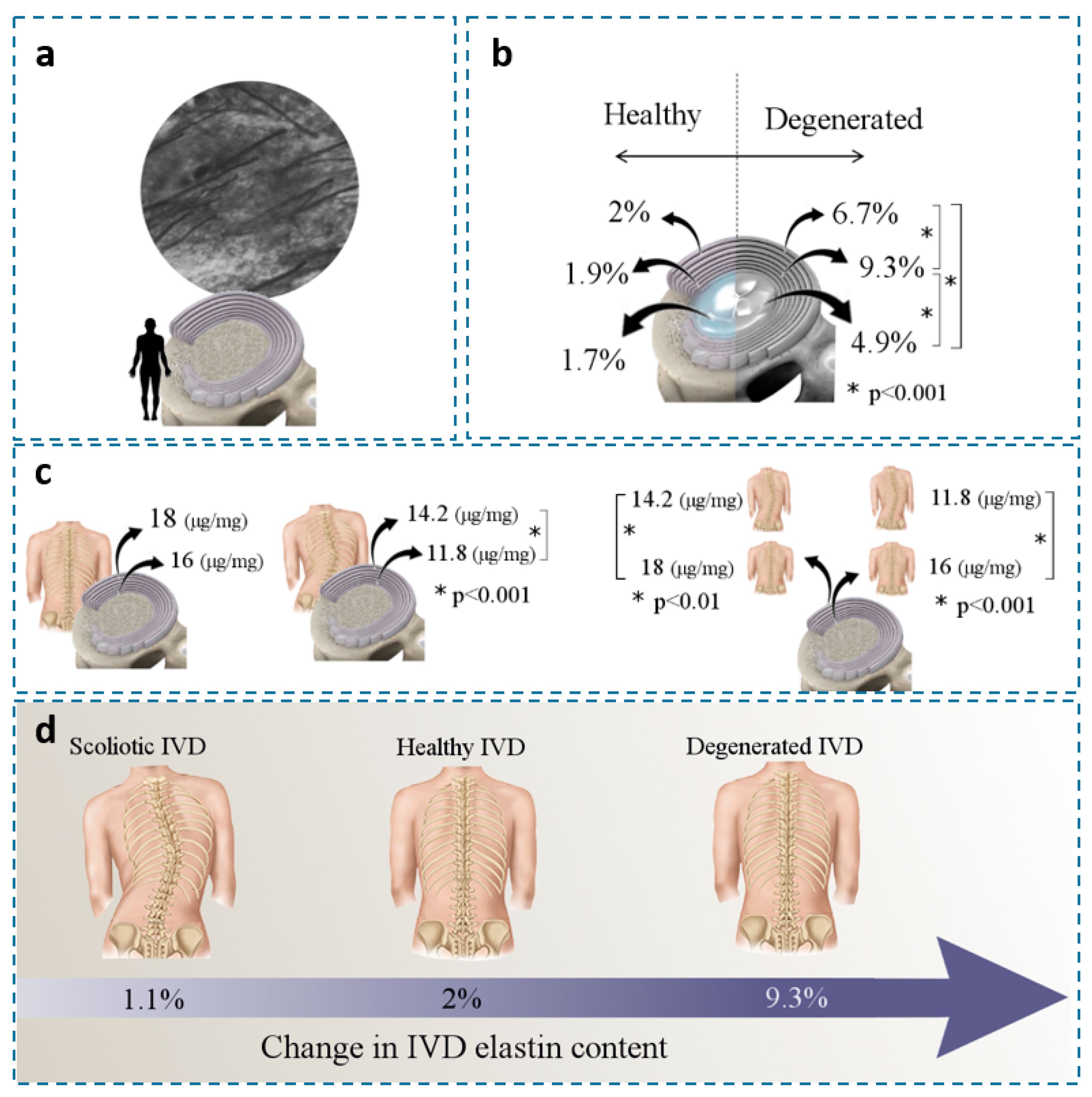 Ijms 23 08931 g005 Ijms 23 08931 g005