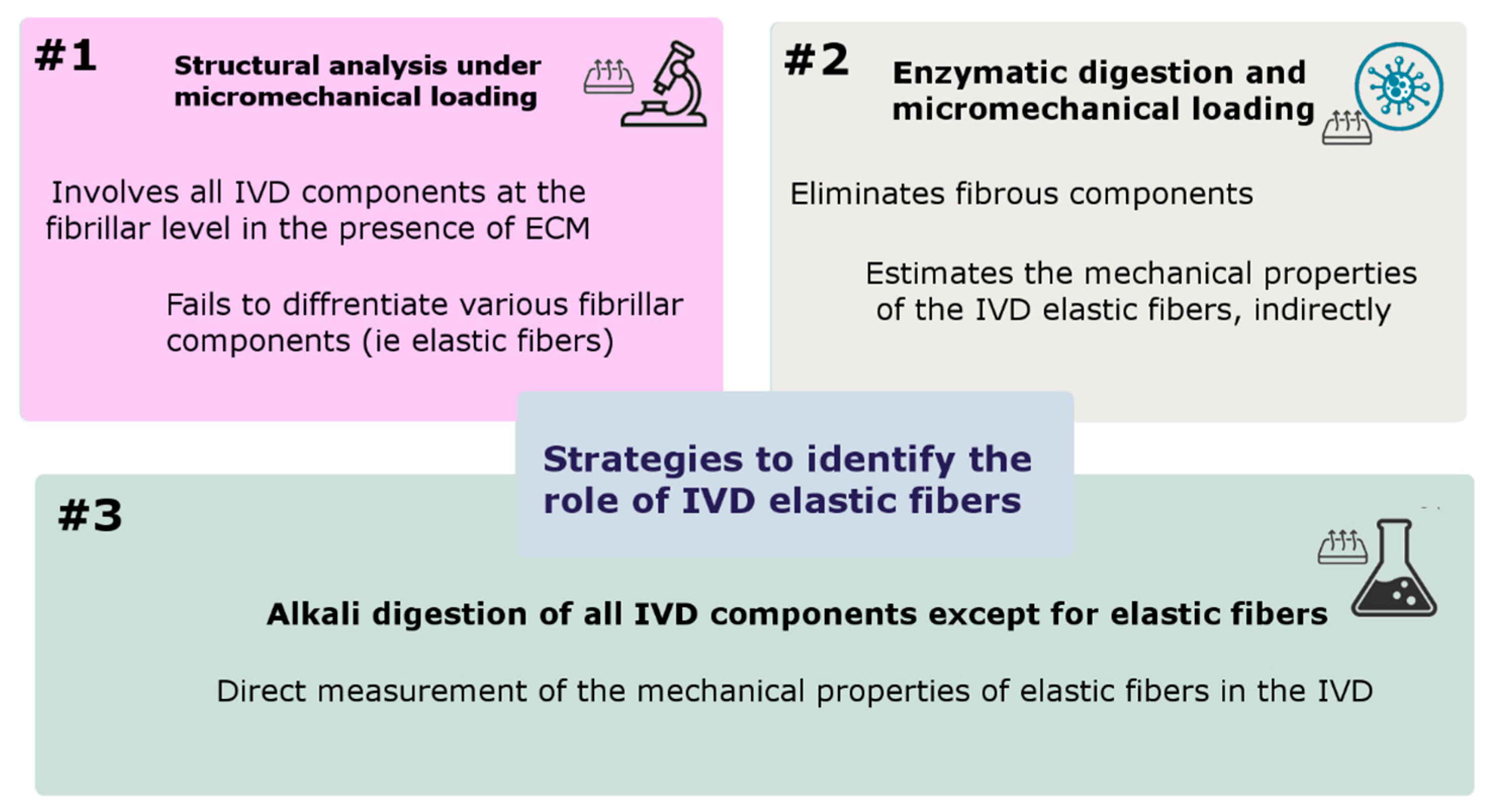 Ijms 23 08931 g007 Ijms 23 08931 g007