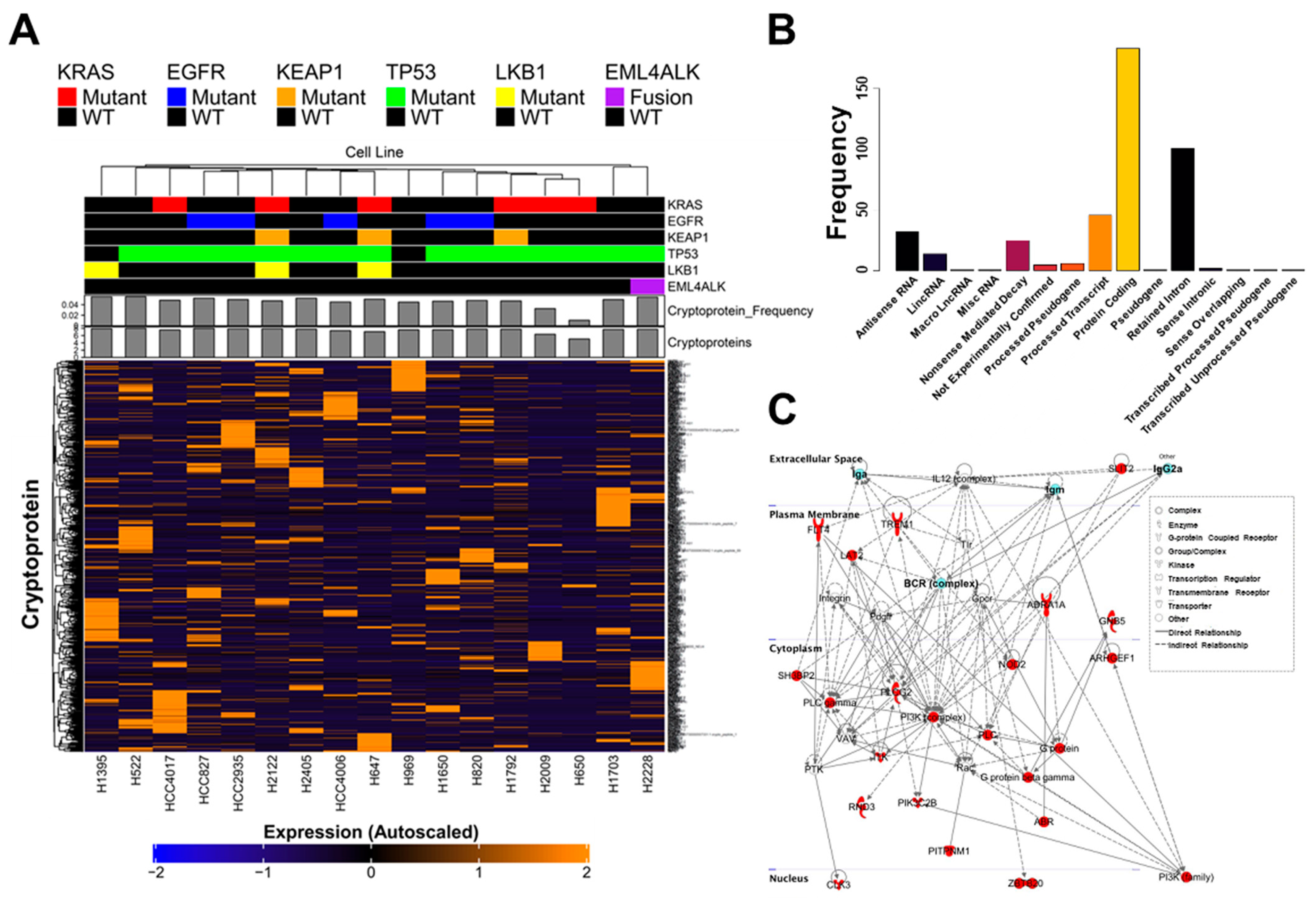 Ijms 23 08933 g001 Ijms 23 08933 g001