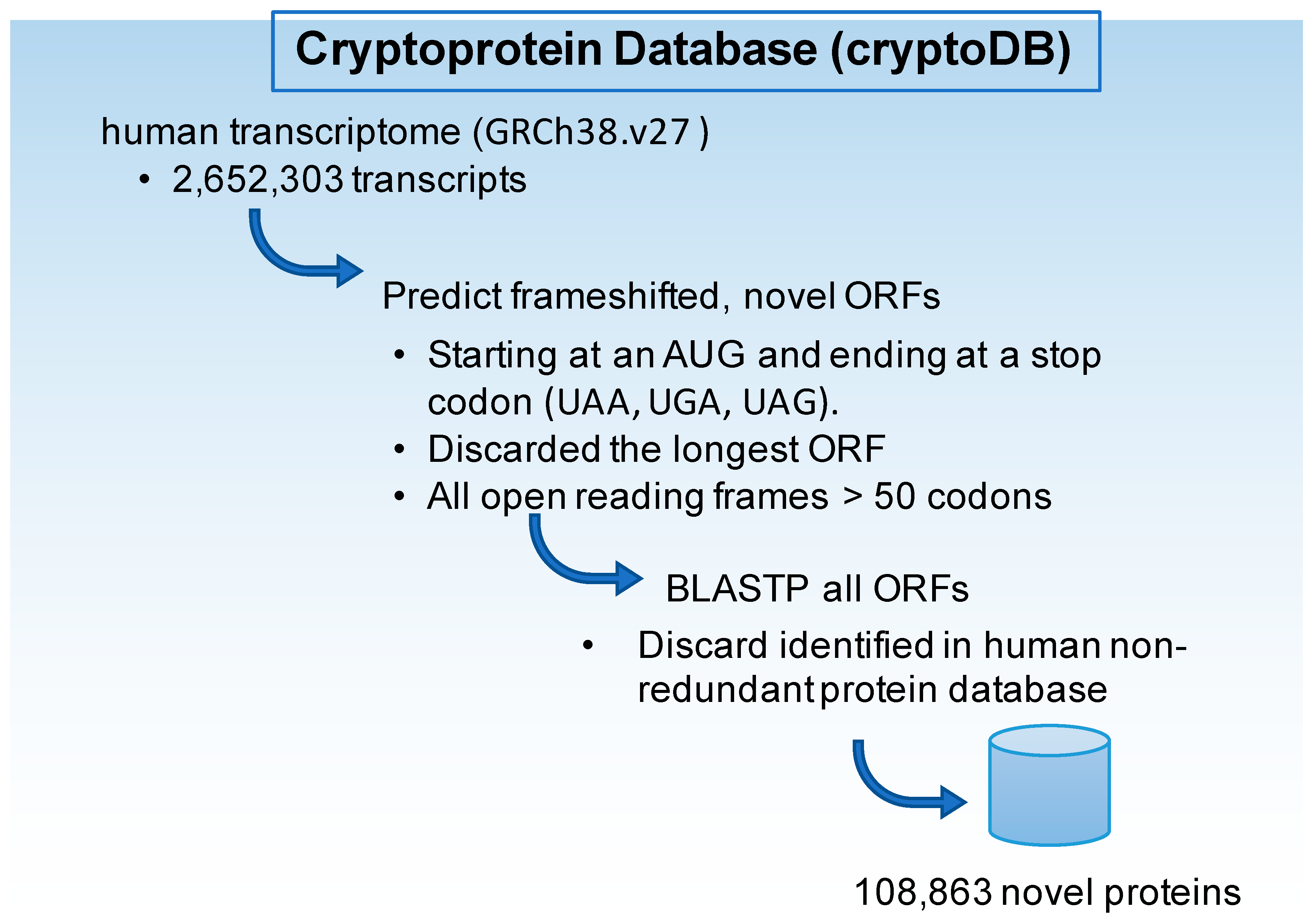 Ijms 23 08933 g004 Ijms 23 08933 g004