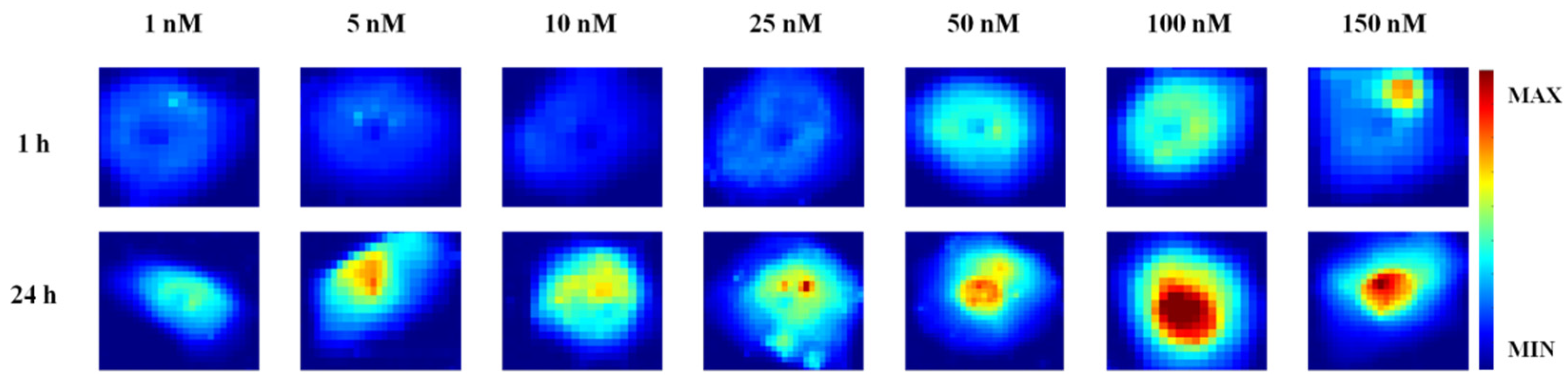 Ijms 23 08935 g004 550