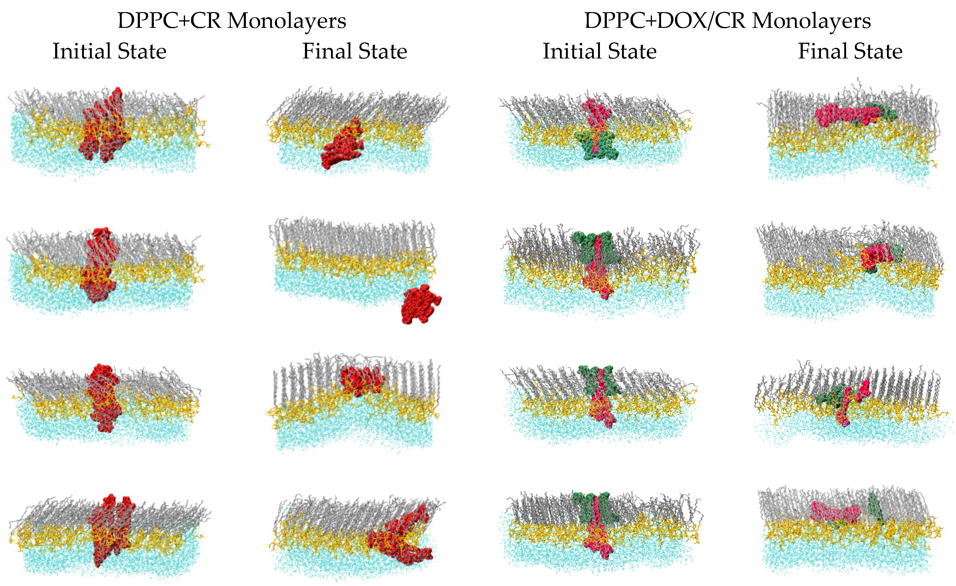 Ijms 23 08935 g009 550