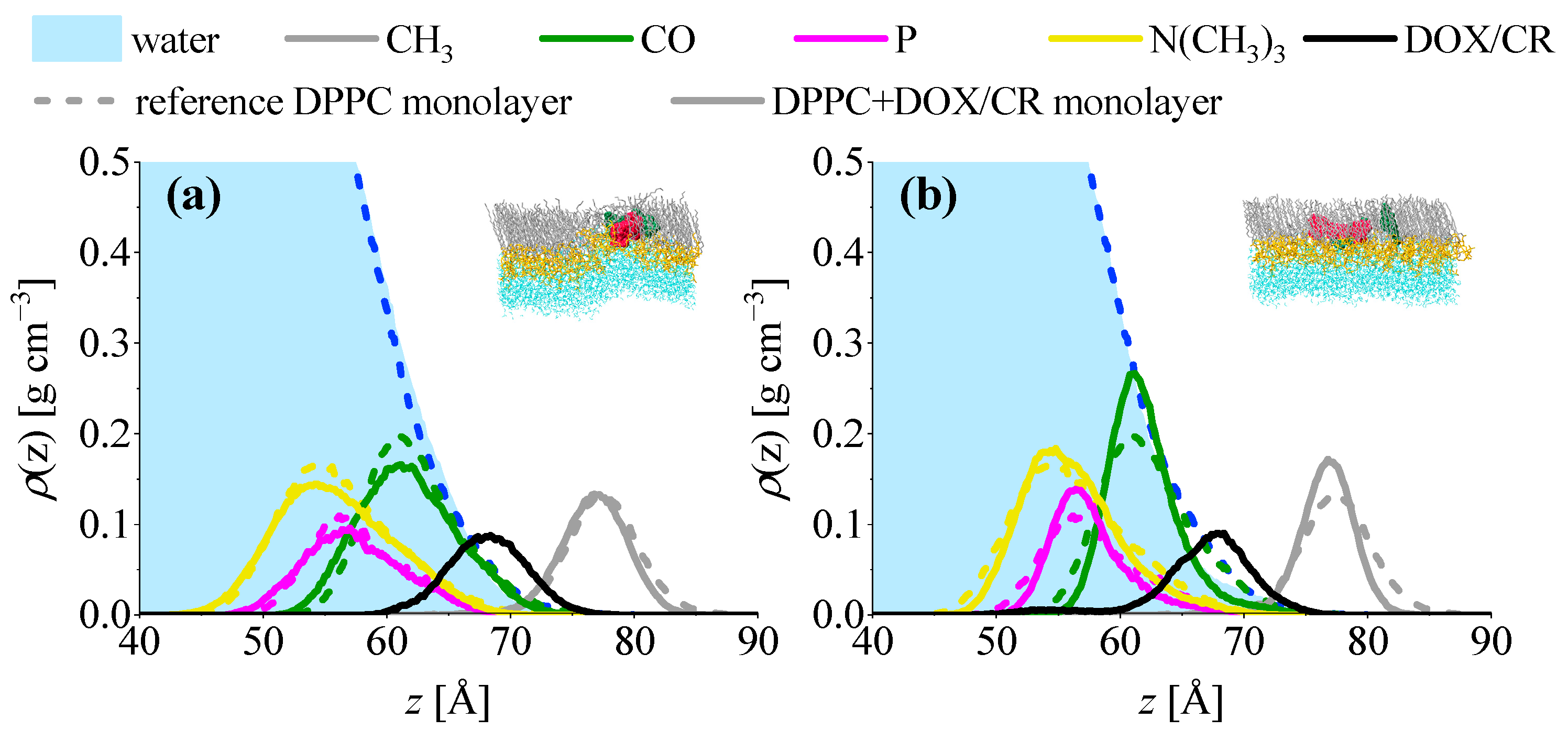 Ijms 23 08935 g011 550